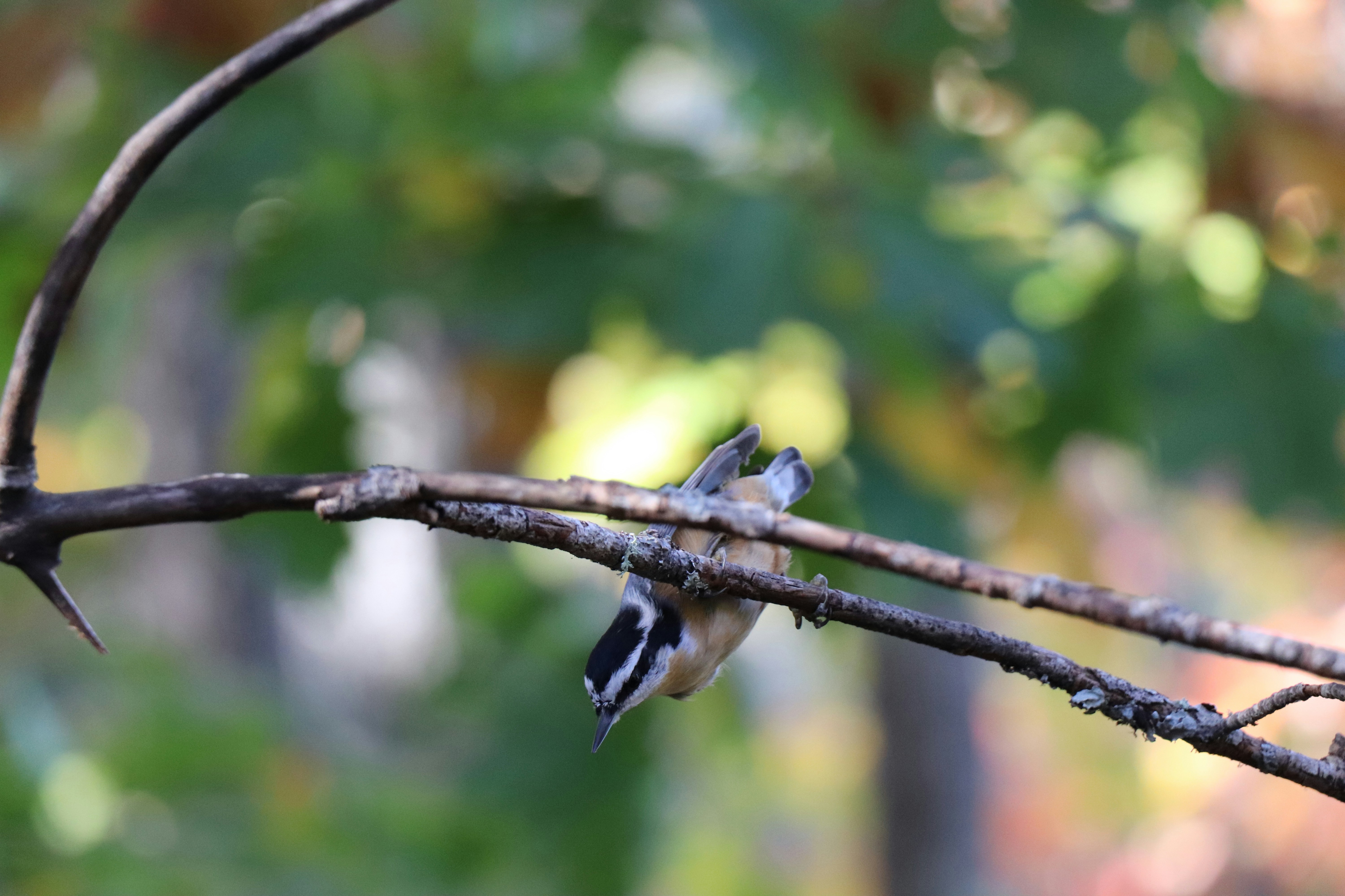 Photo by sandimagerart