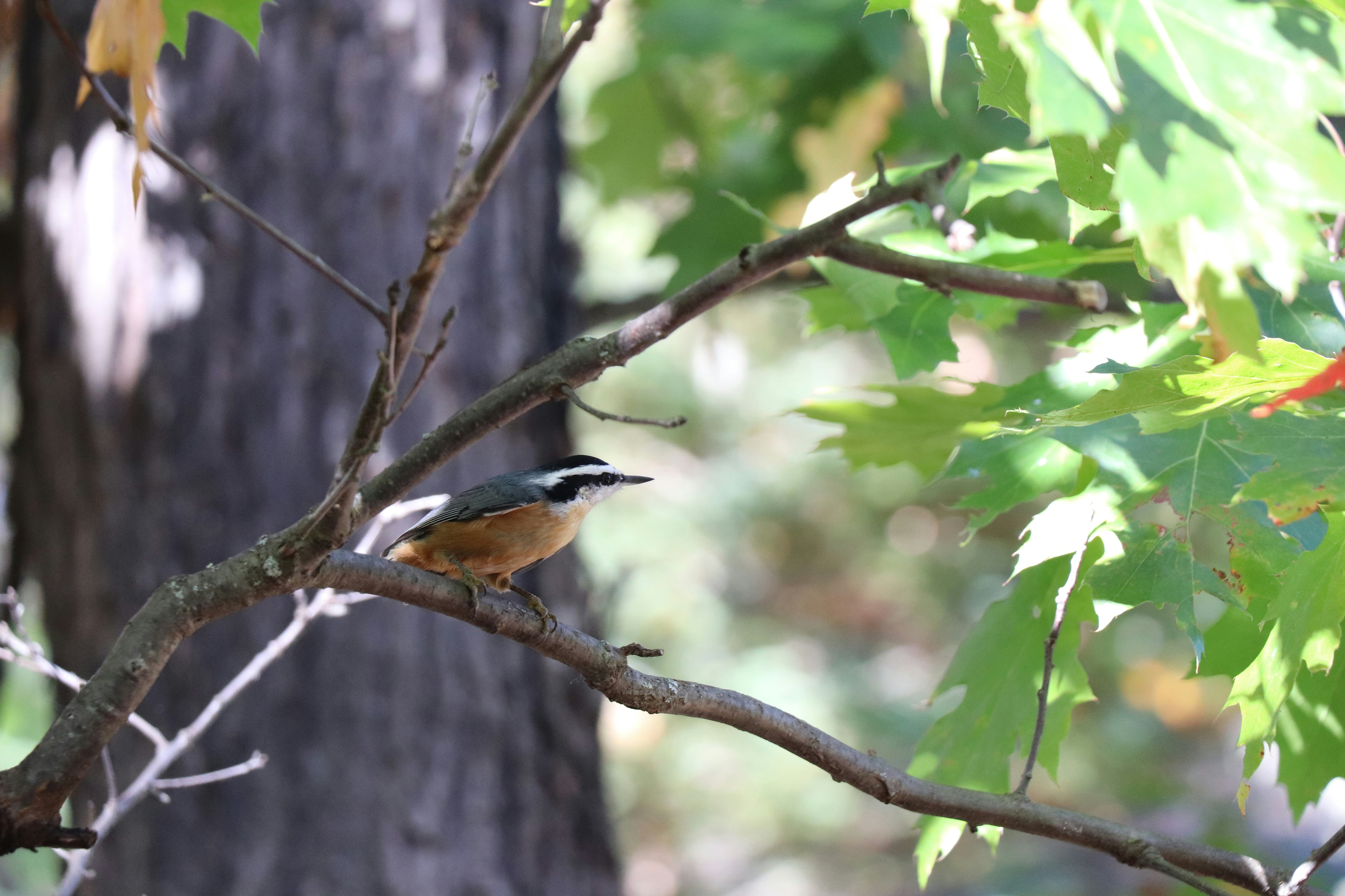 Photo by sandimagerart