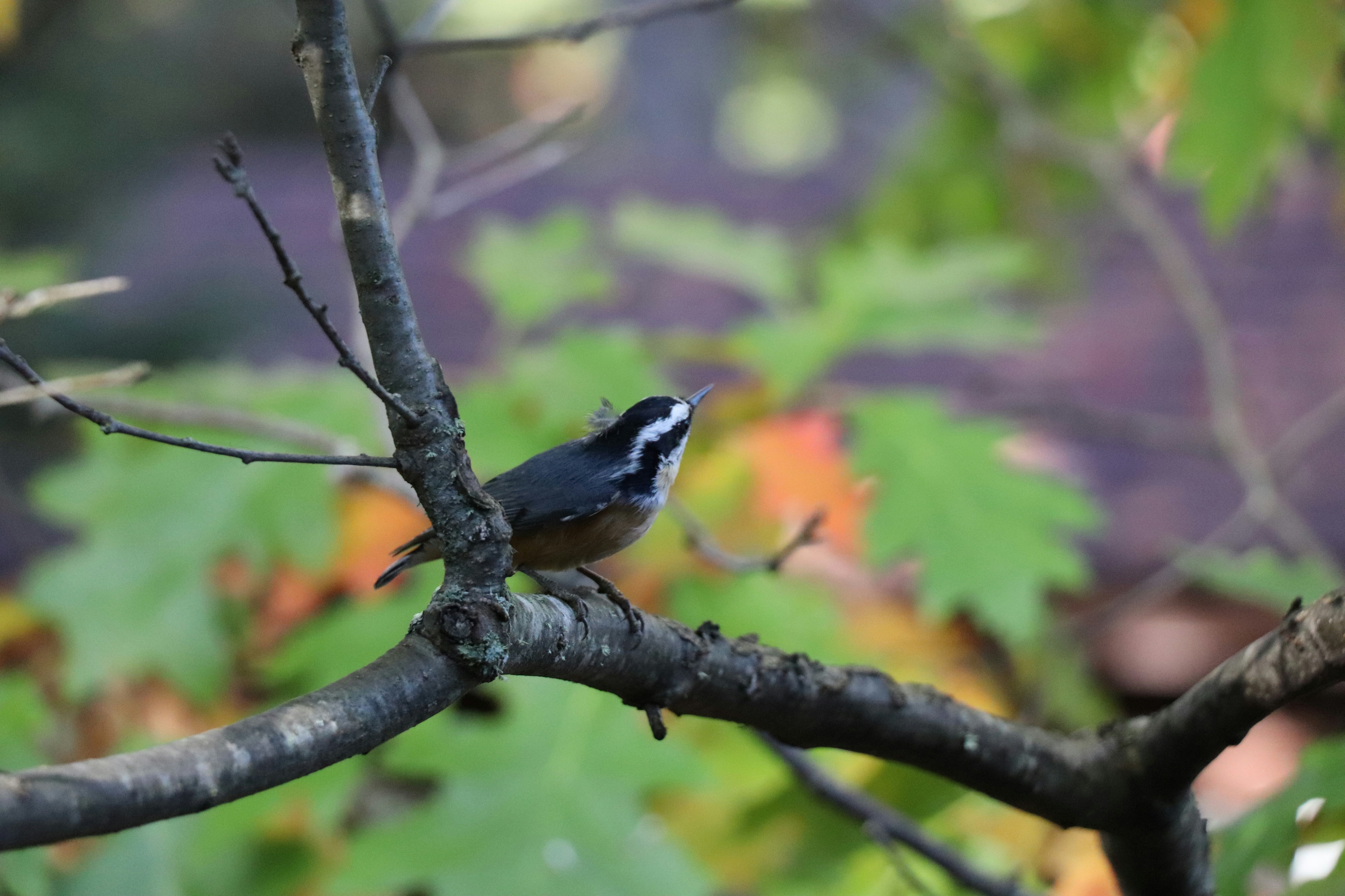 Photo by sandimagerart