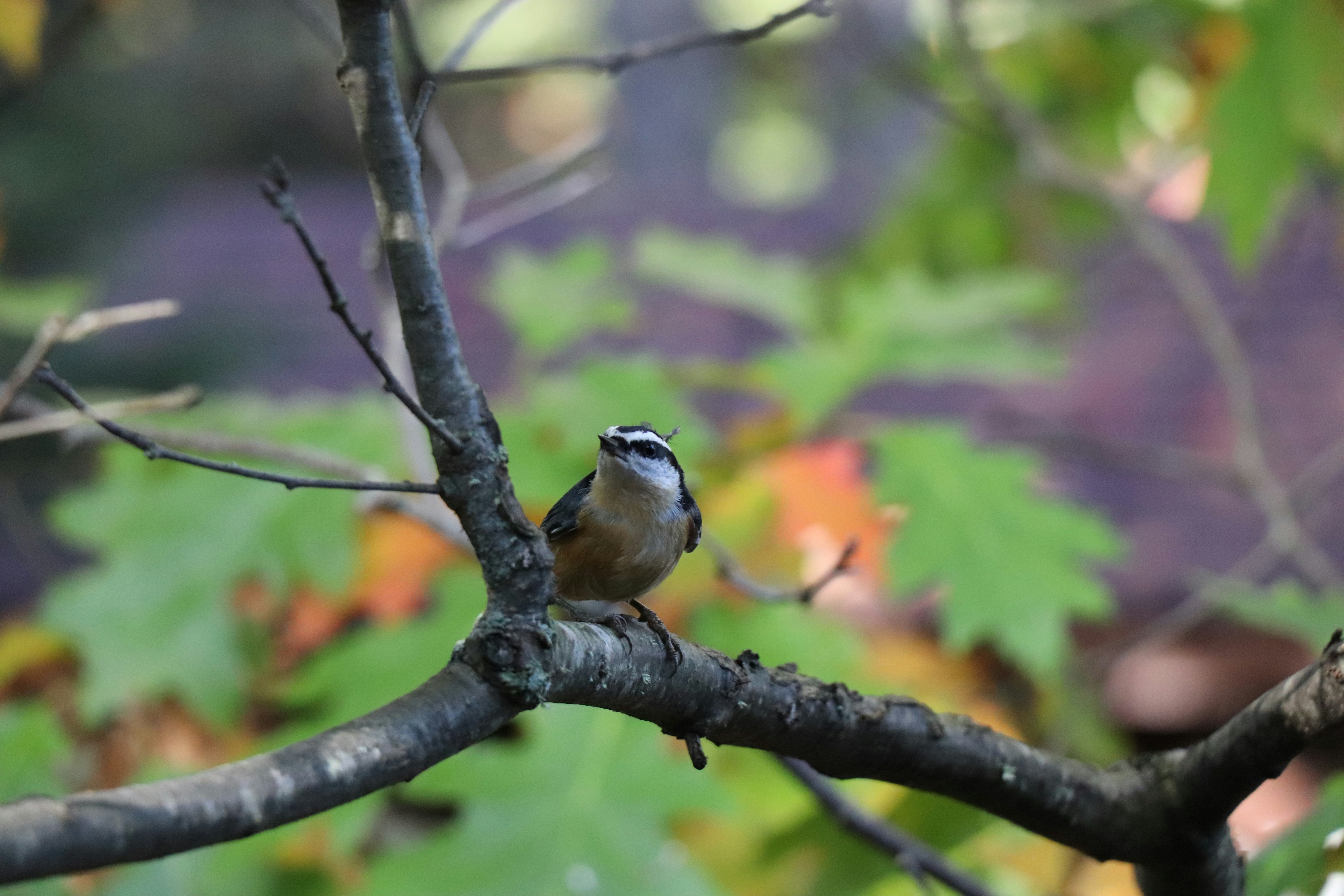 Photo by sandimagerart