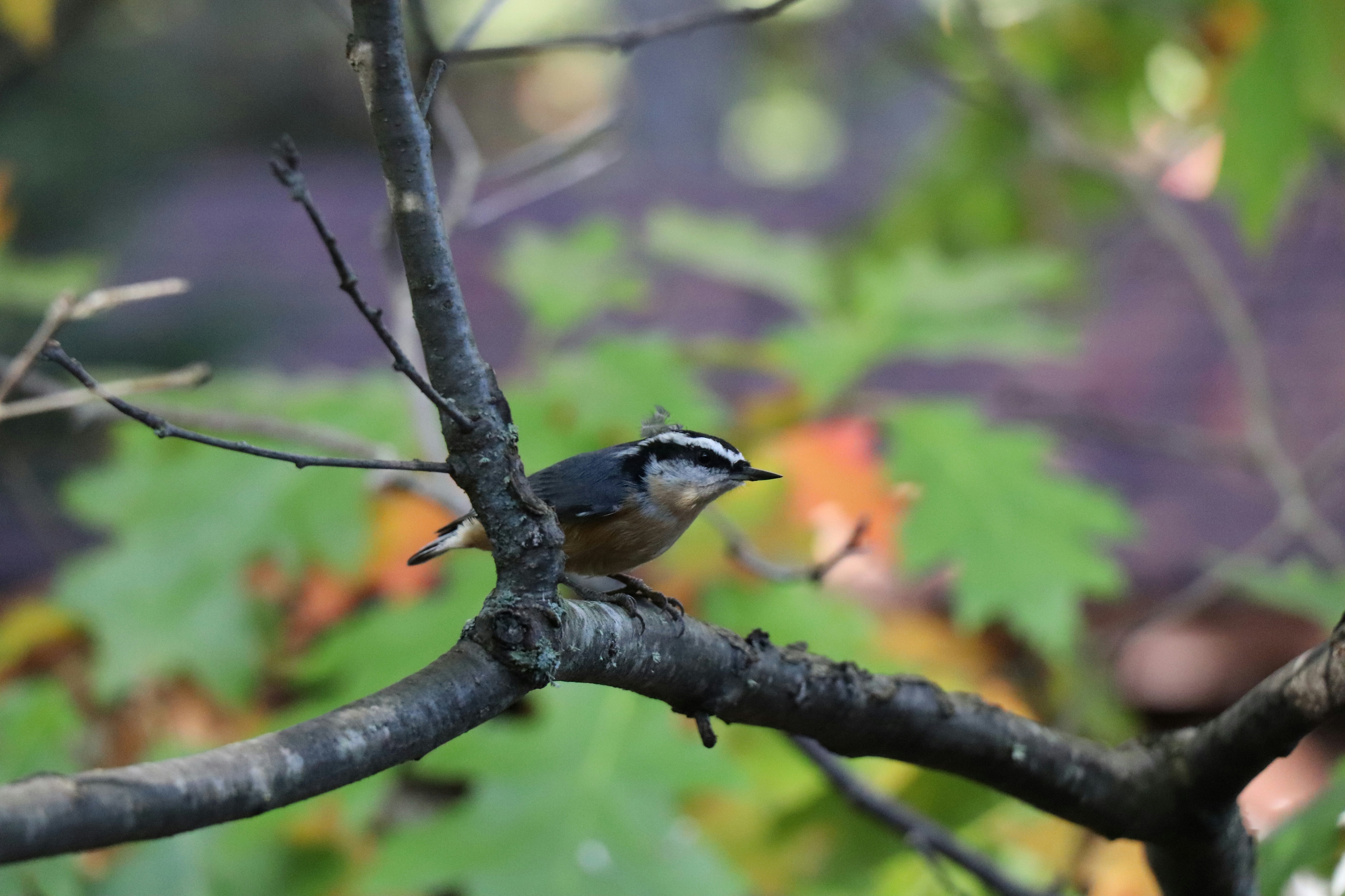 Photo by sandimagerart