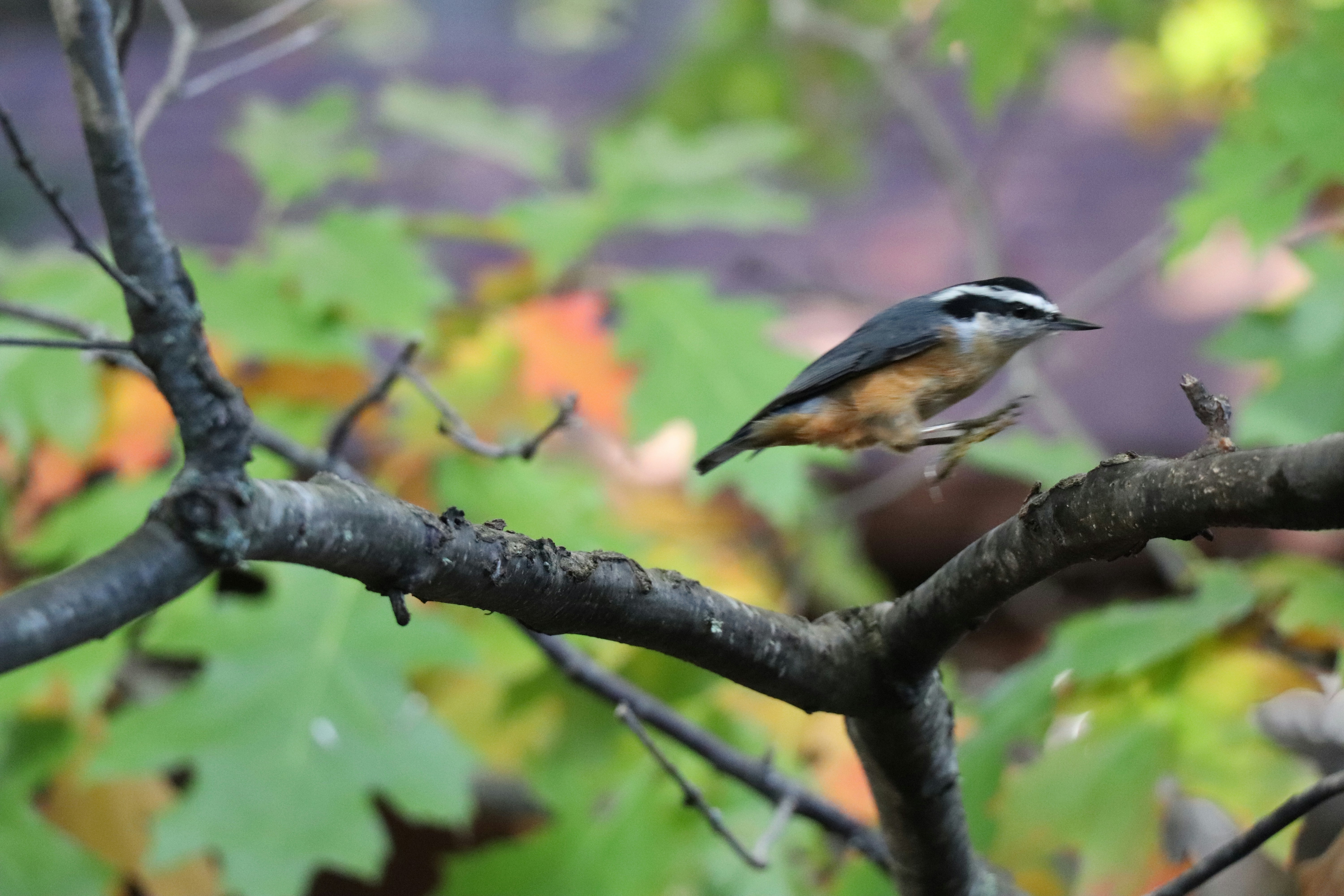 Photo by sandimagerart