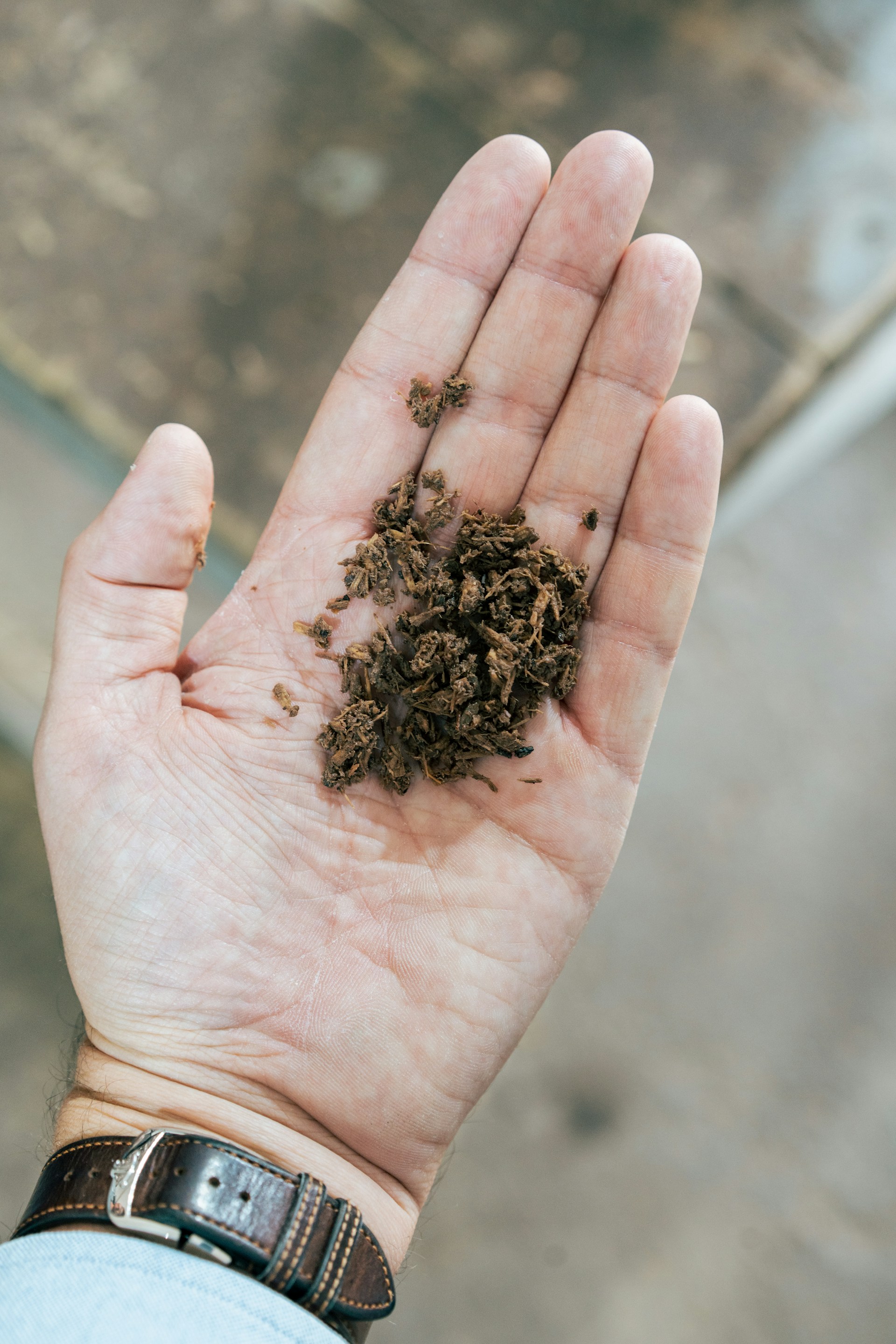 A person's hand holding a handful of dirt