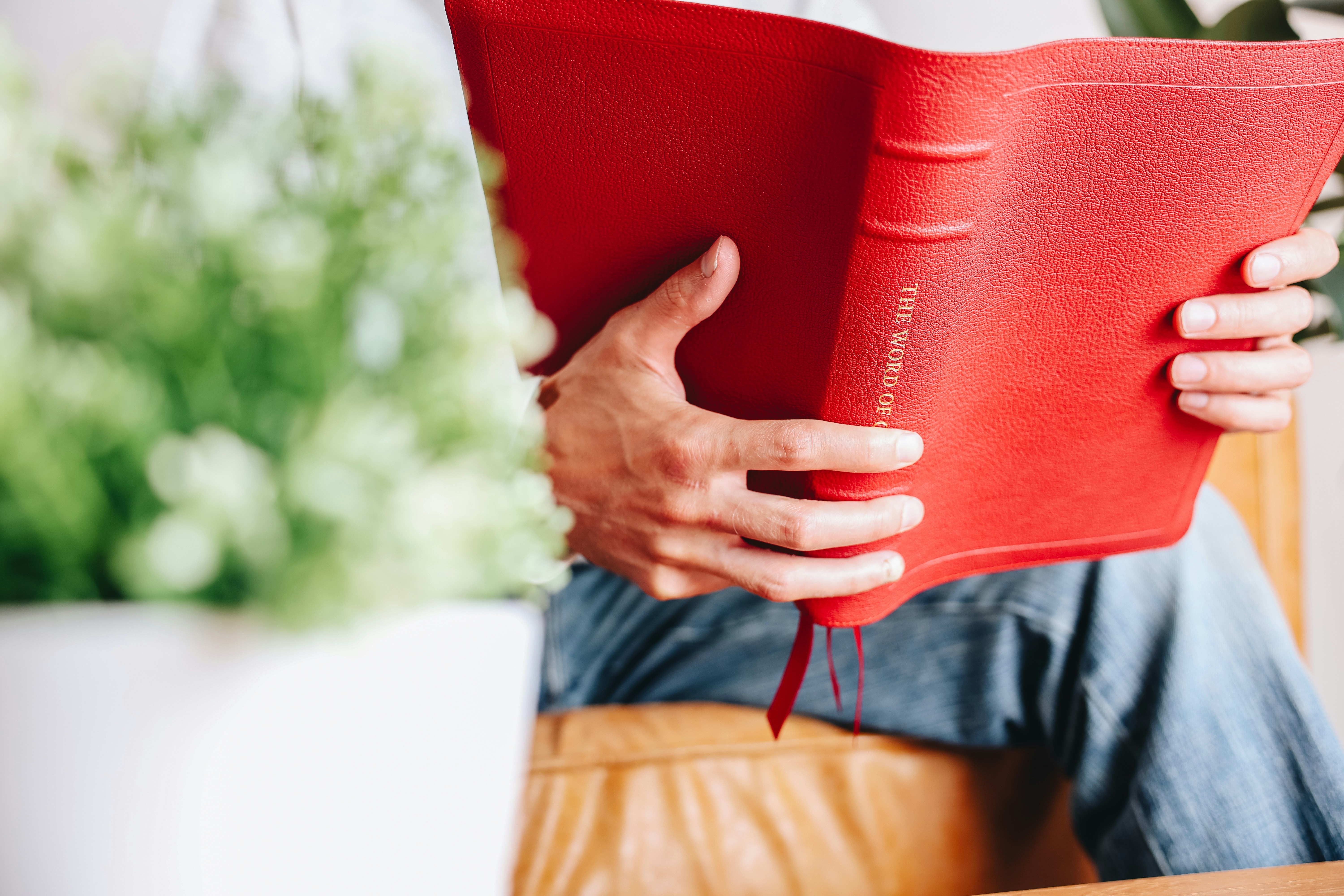 PMに技術知識が必要な理由 – トランスレーターとしての真価