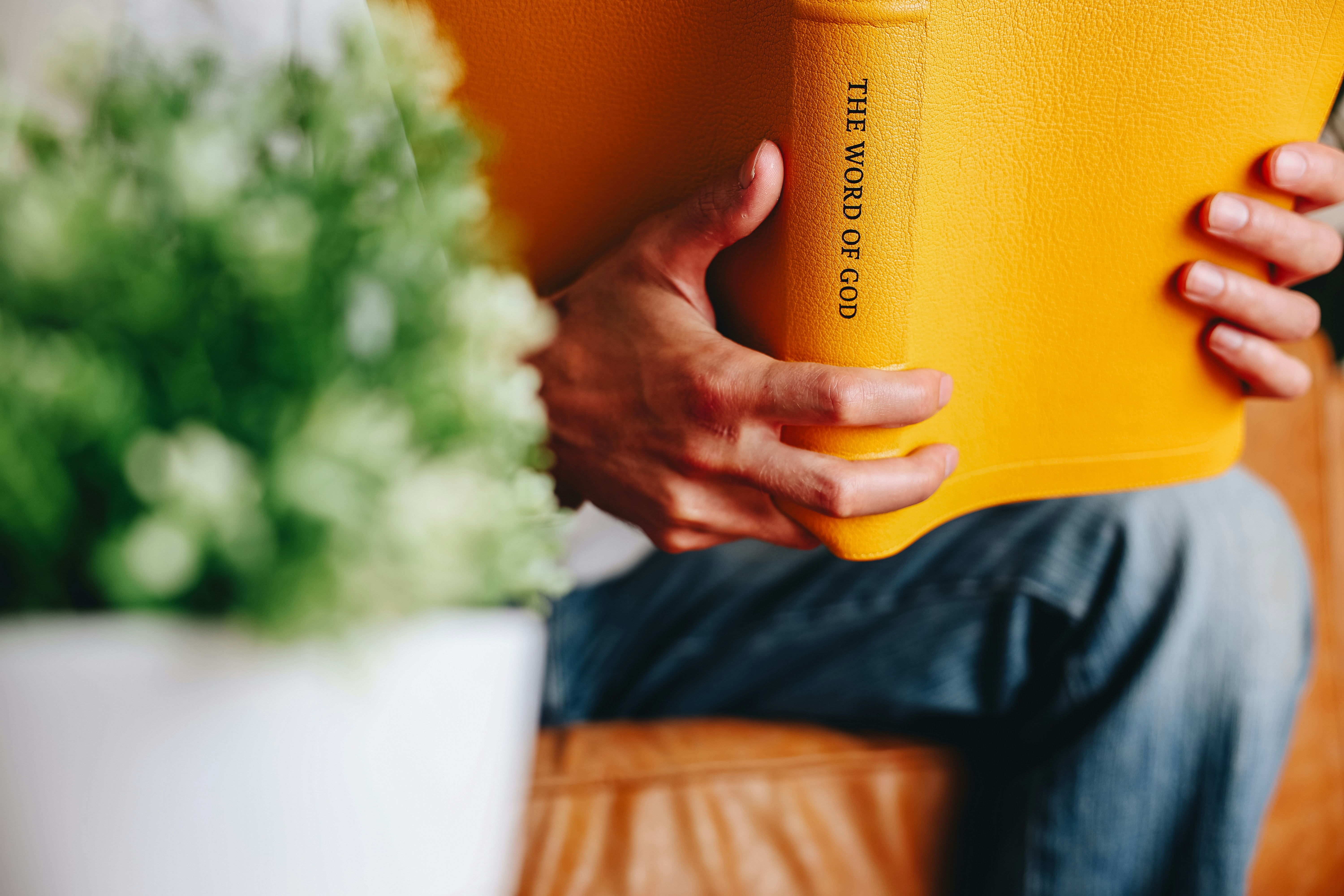 Eine Person, die auf einer Couch sitzt und ein Buch in der Hand hält