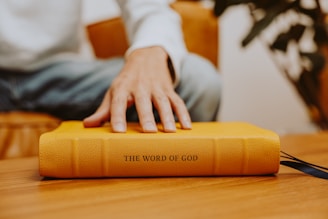 A person sitting on a chair with their hand on a book