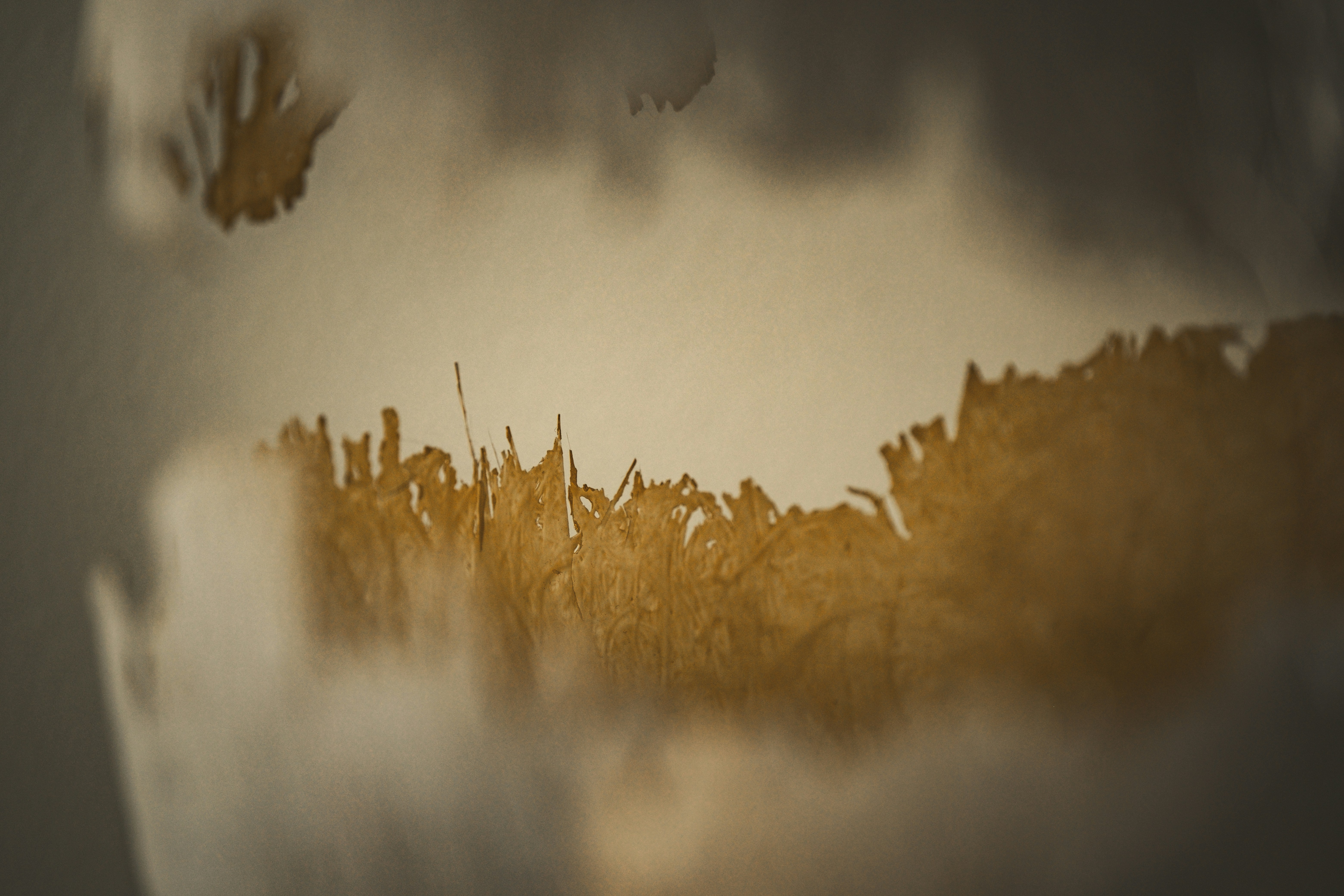 Photo by francesco_ungaro