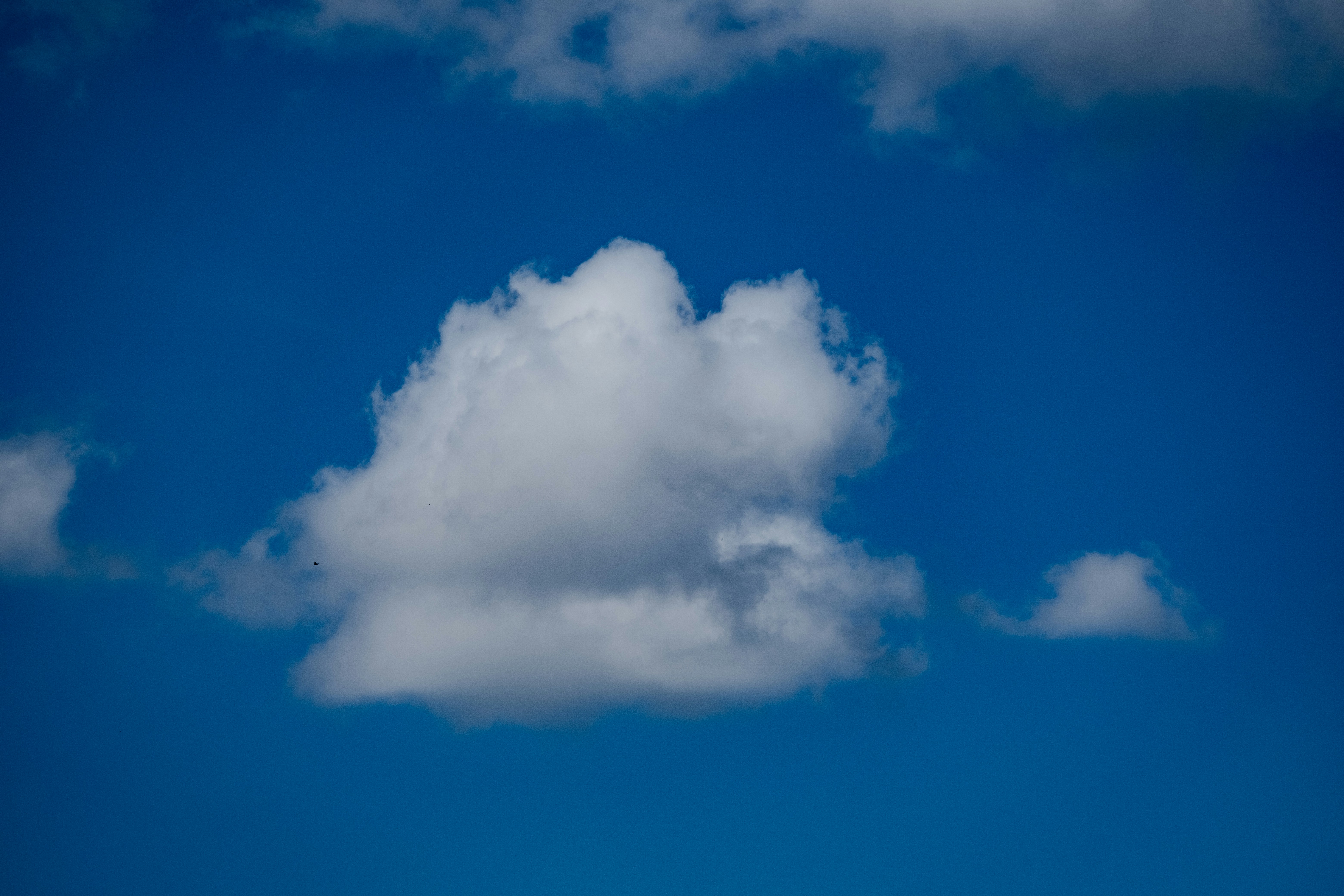 Photo by francesco_ungaro