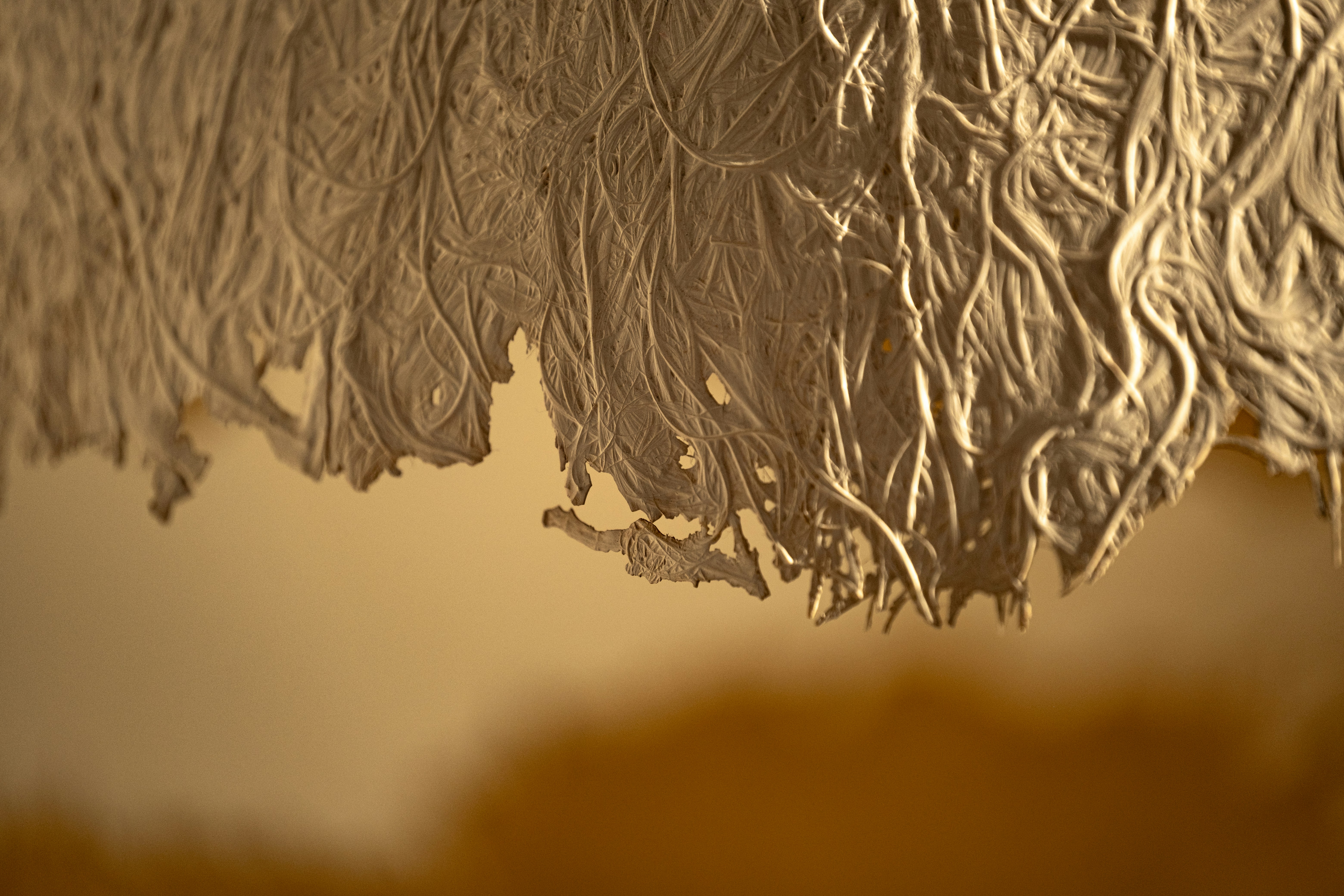 Photo by francesco_ungaro