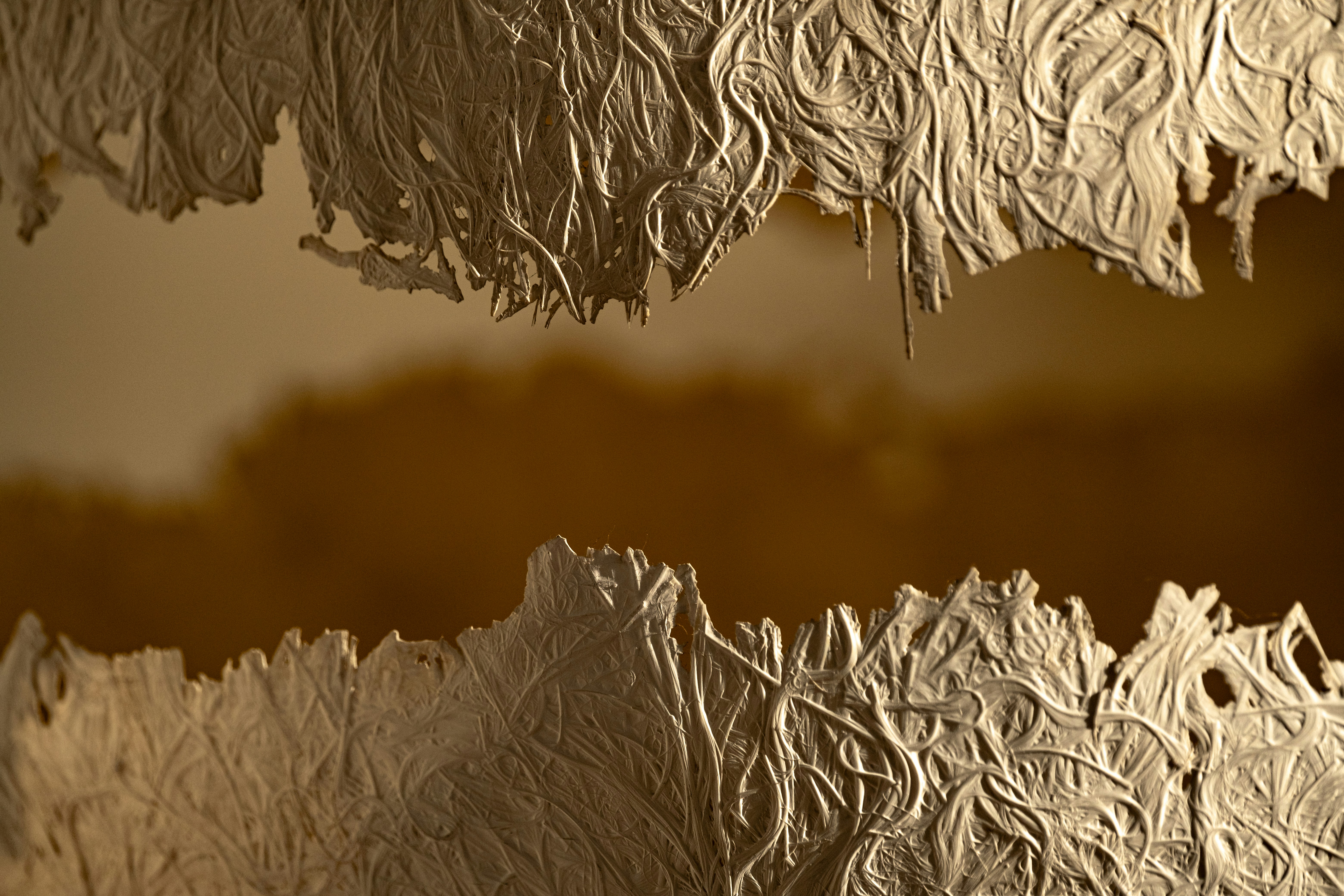 Photo by francesco_ungaro