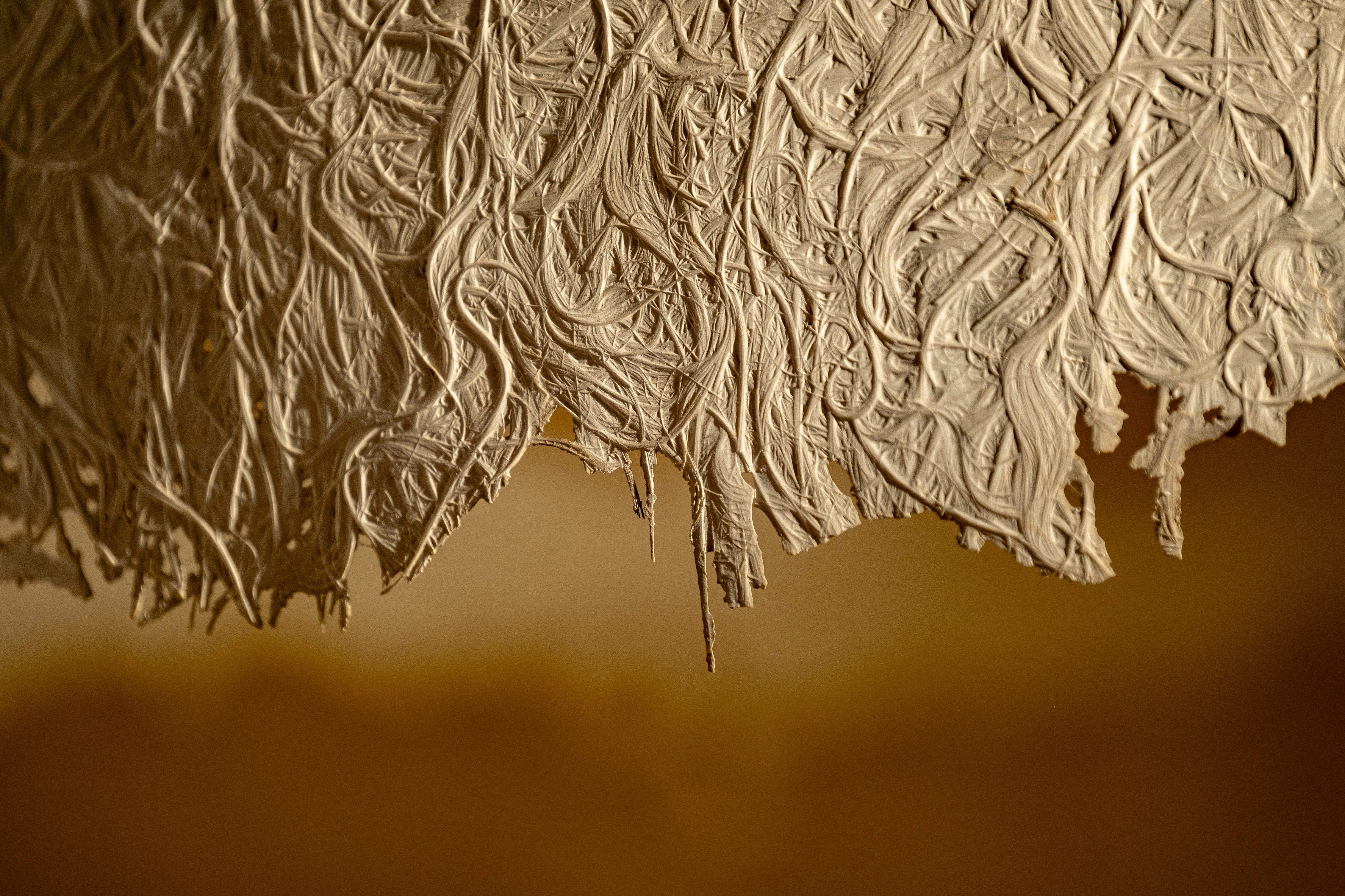 Photo by francesco_ungaro