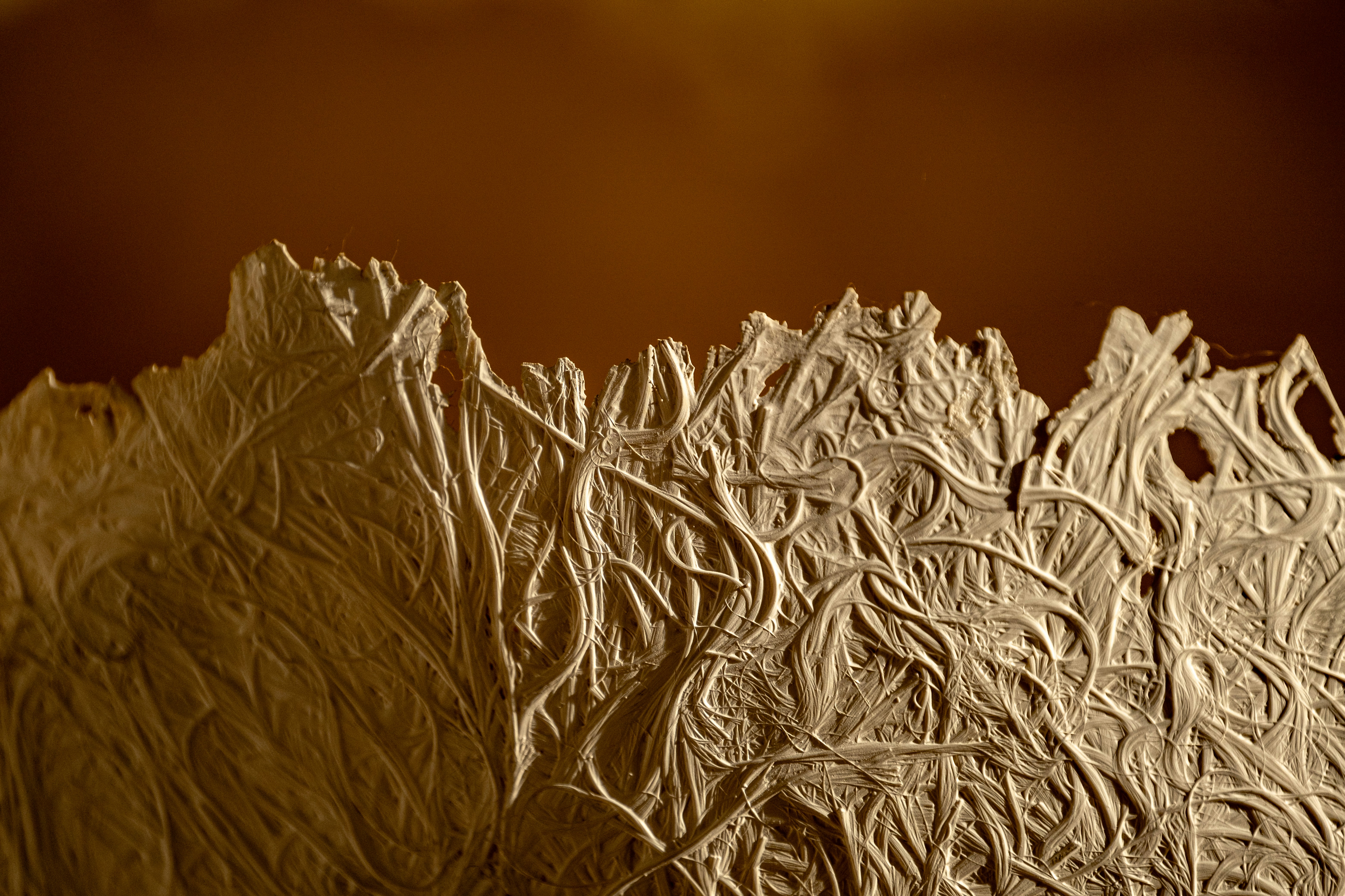 A close up of a piece of paper with a blurry background