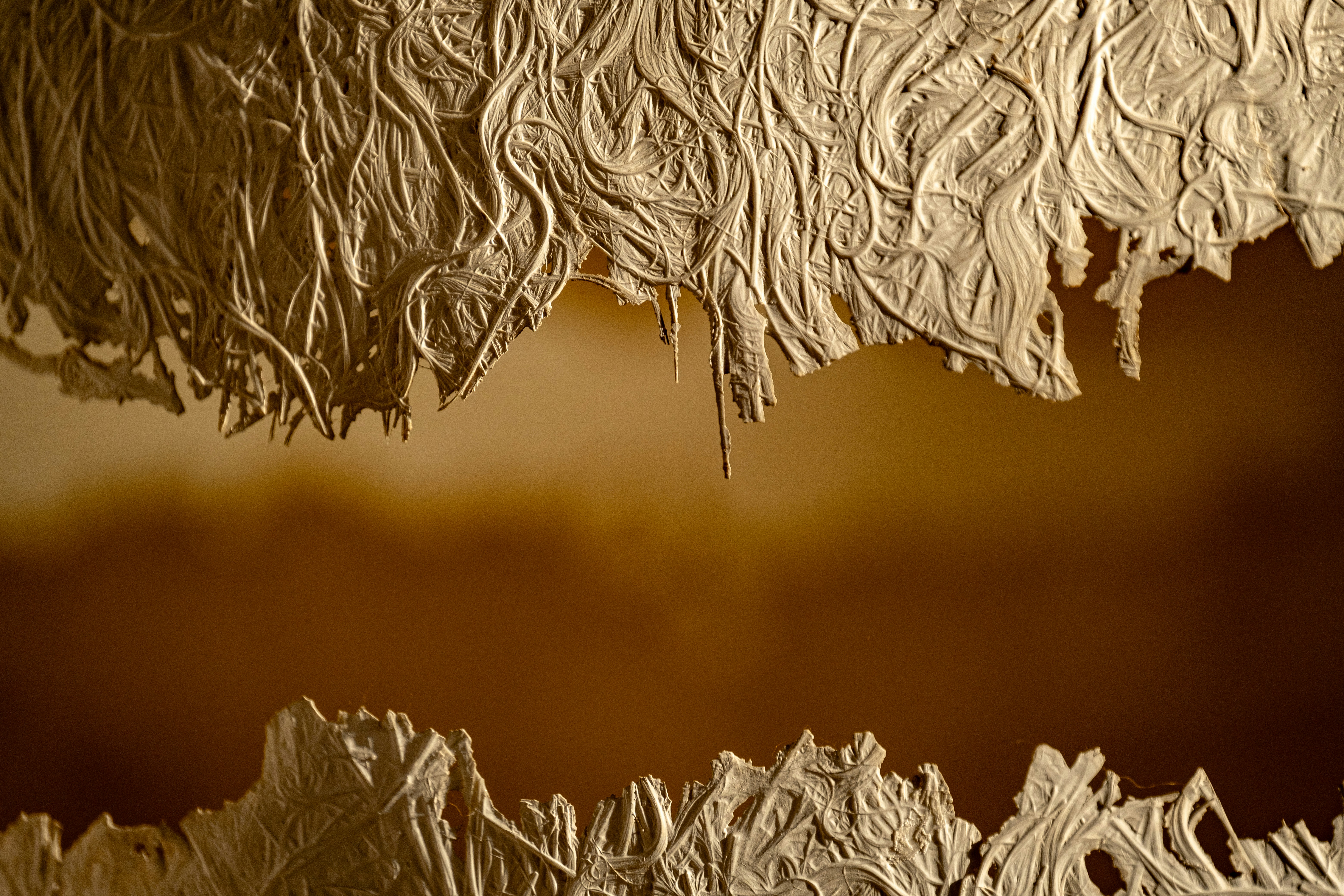 Photo by francesco_ungaro