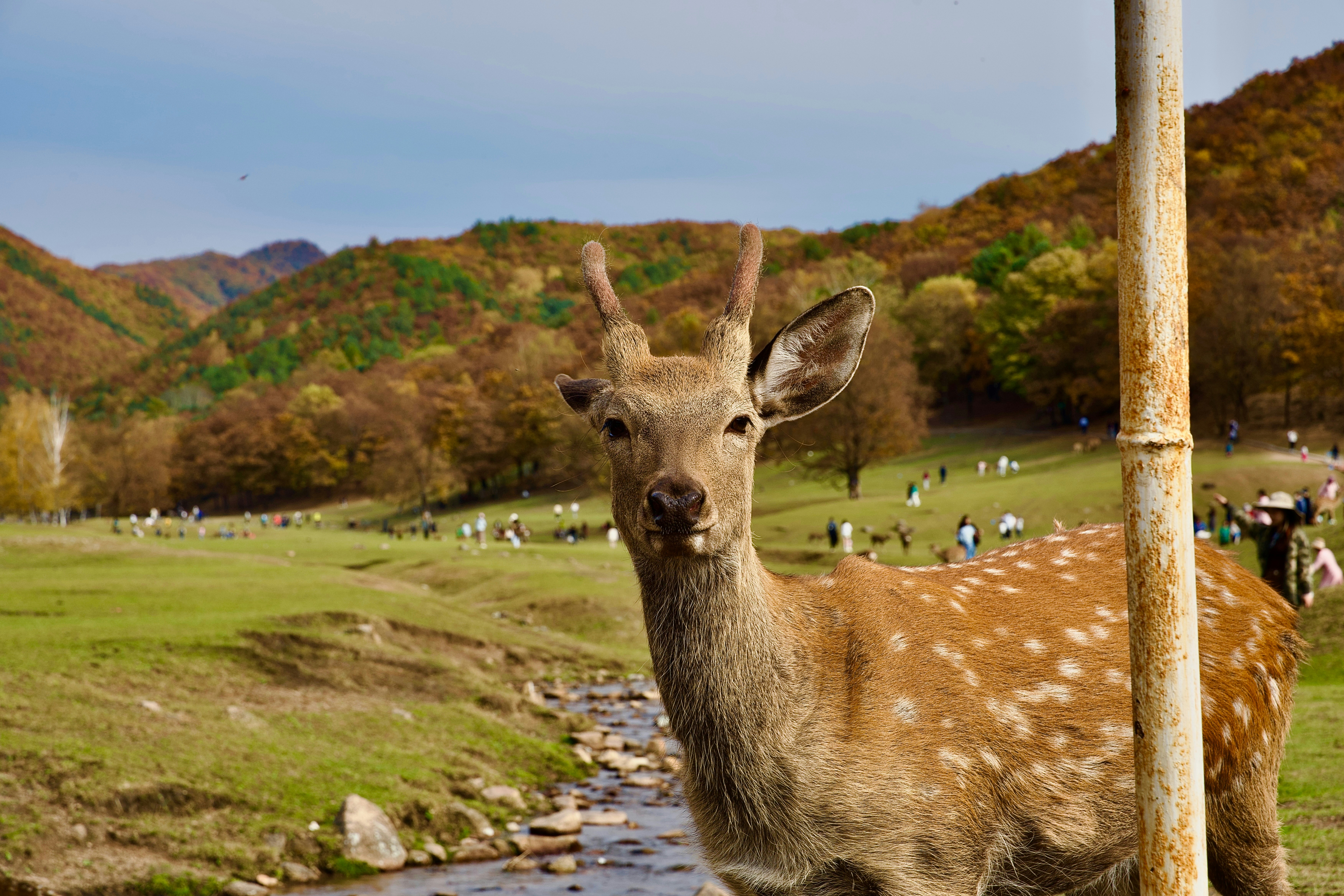Eco-Tourism: A Boost for Local Economies (image credits: unsplash)