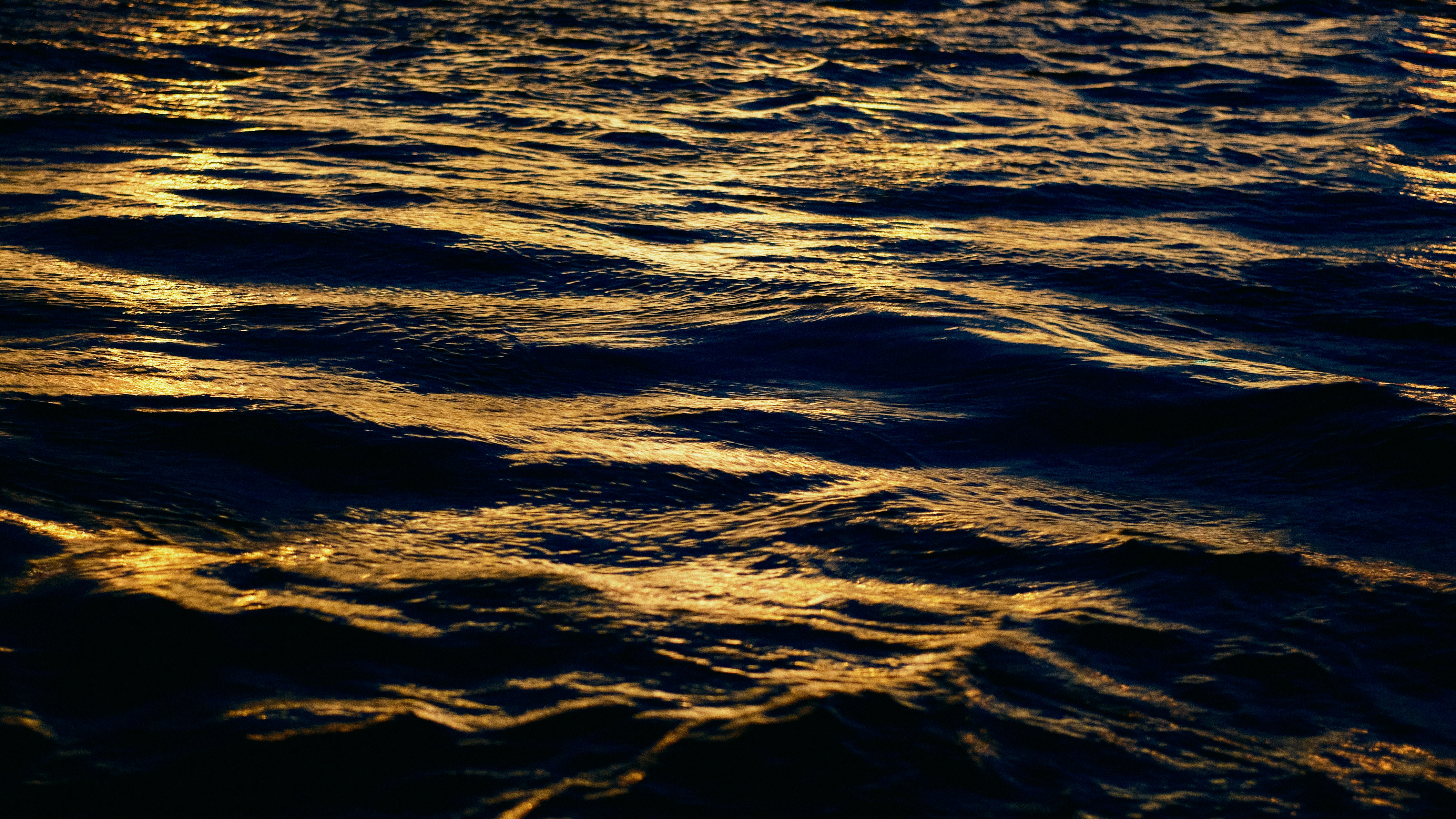 Photo by schurikov