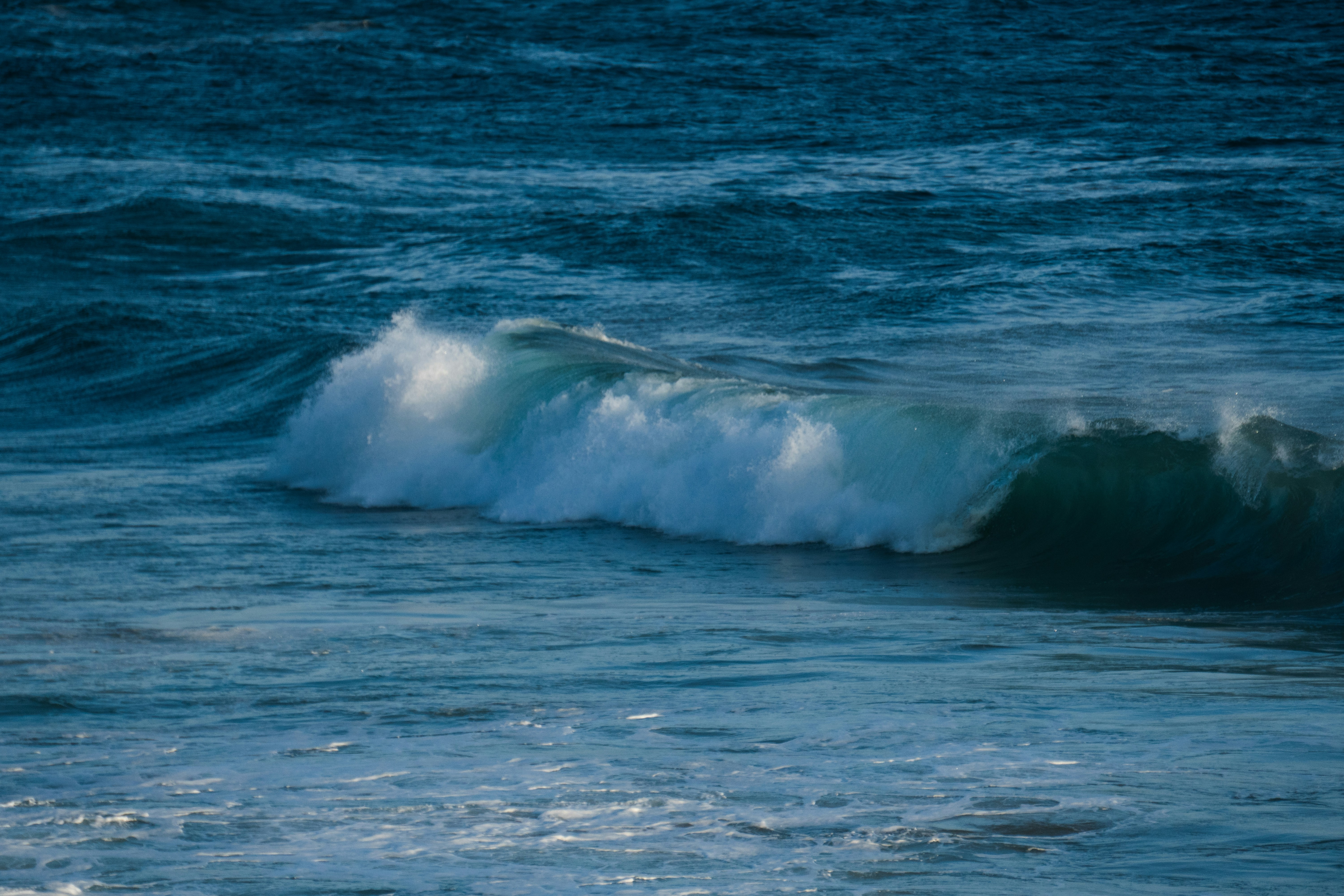 Photo by nanduvasudevan