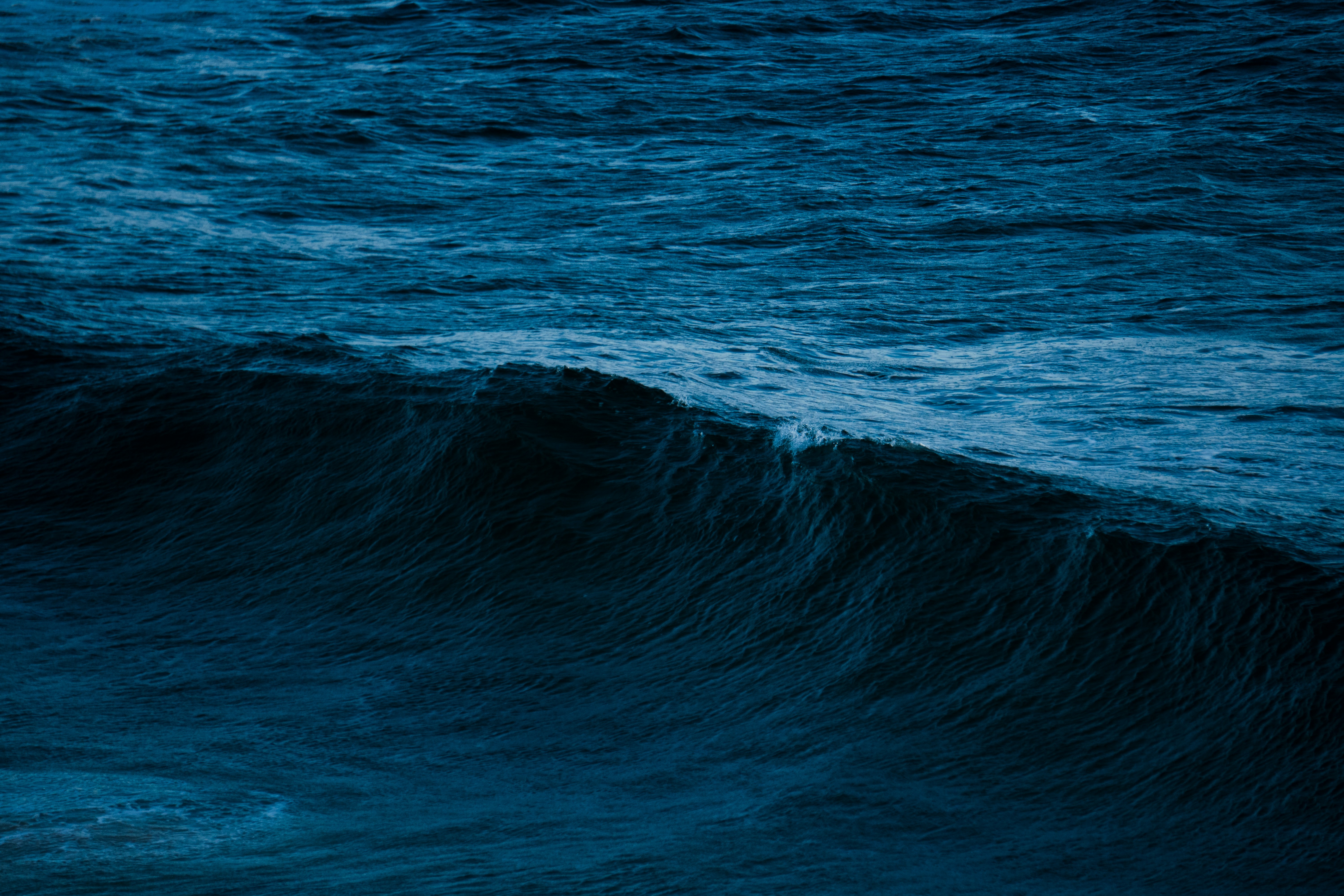 Photo by nanduvasudevan