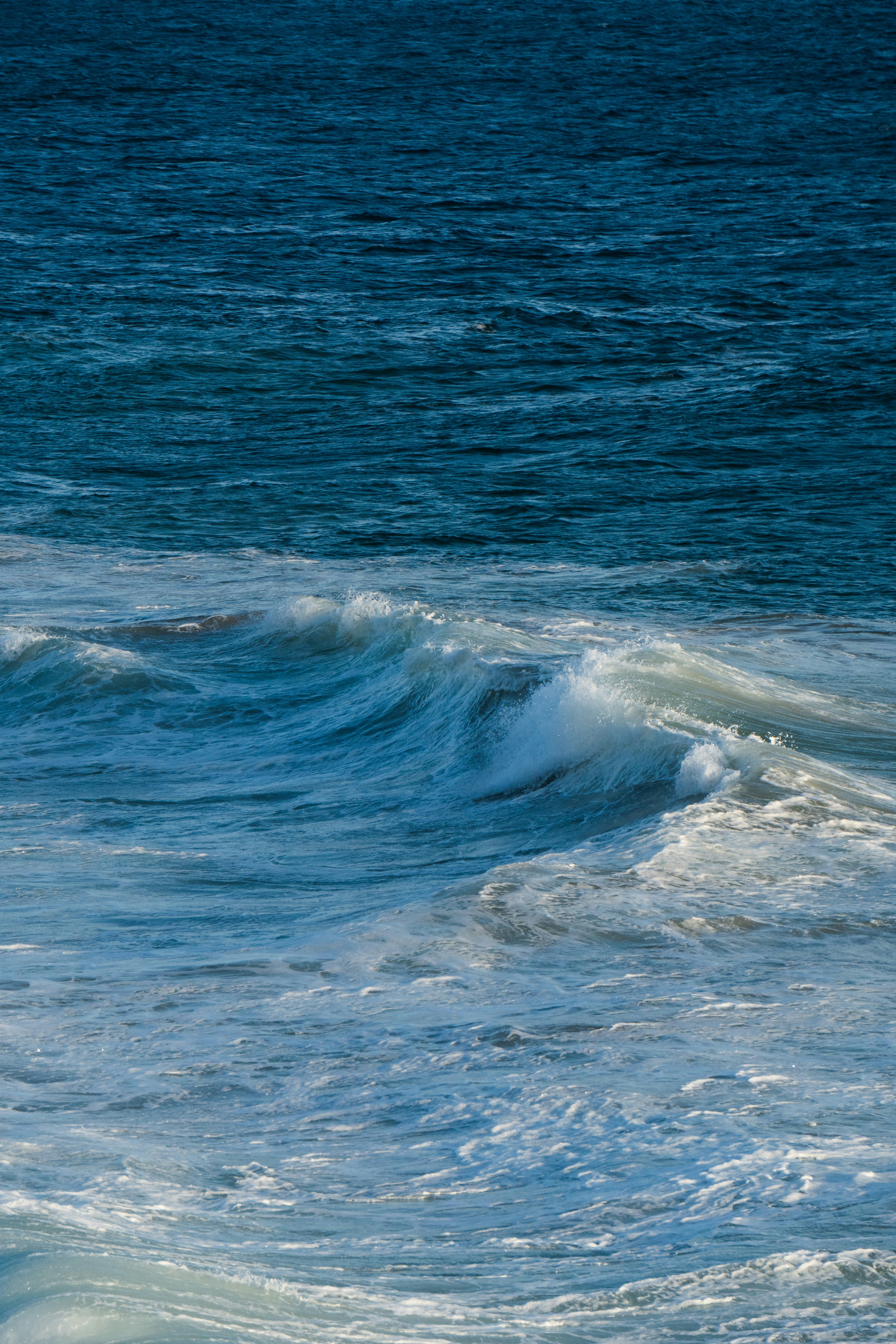 Photo by nanduvasudevan