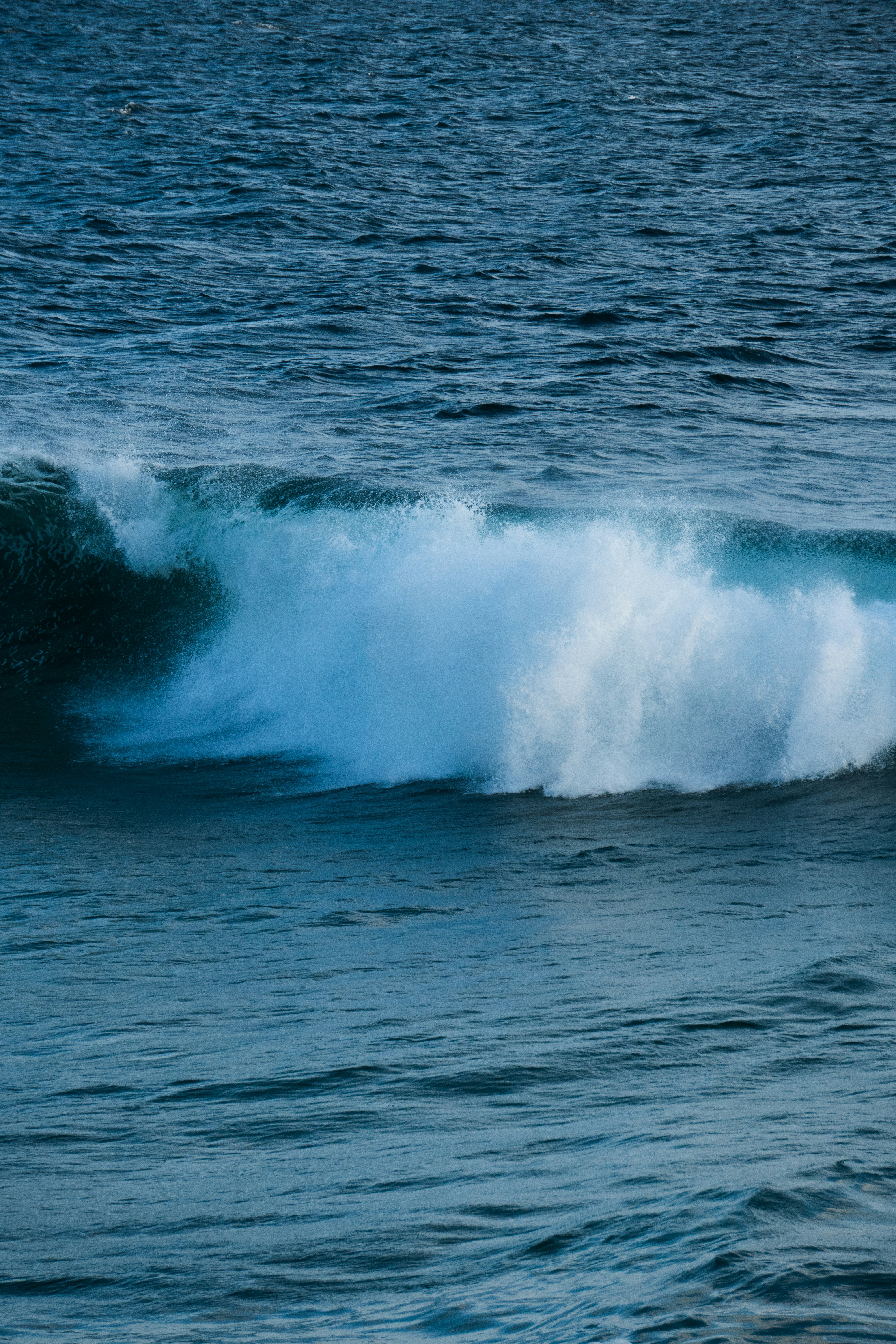 Photo by nanduvasudevan