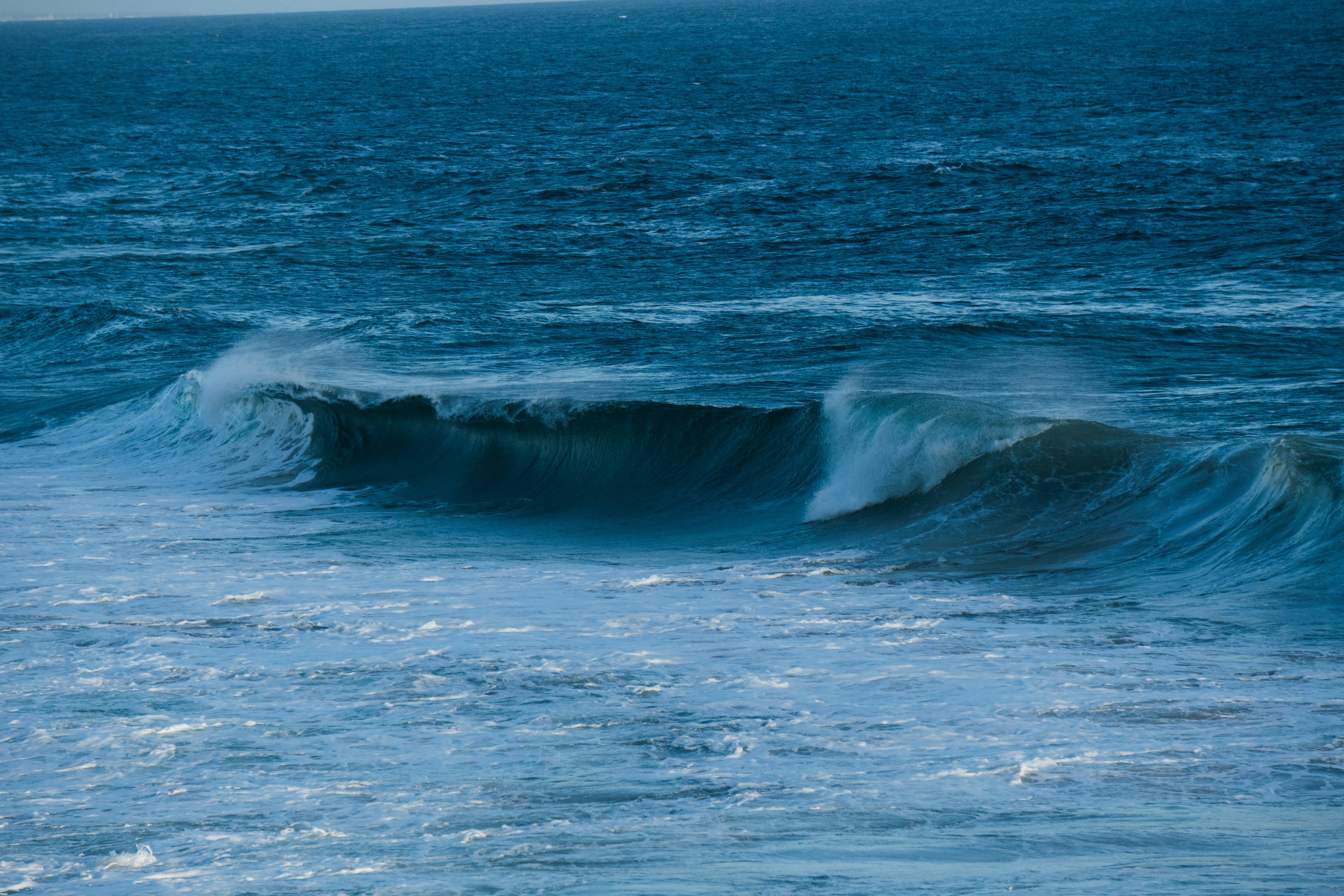 Photo by nanduvasudevan