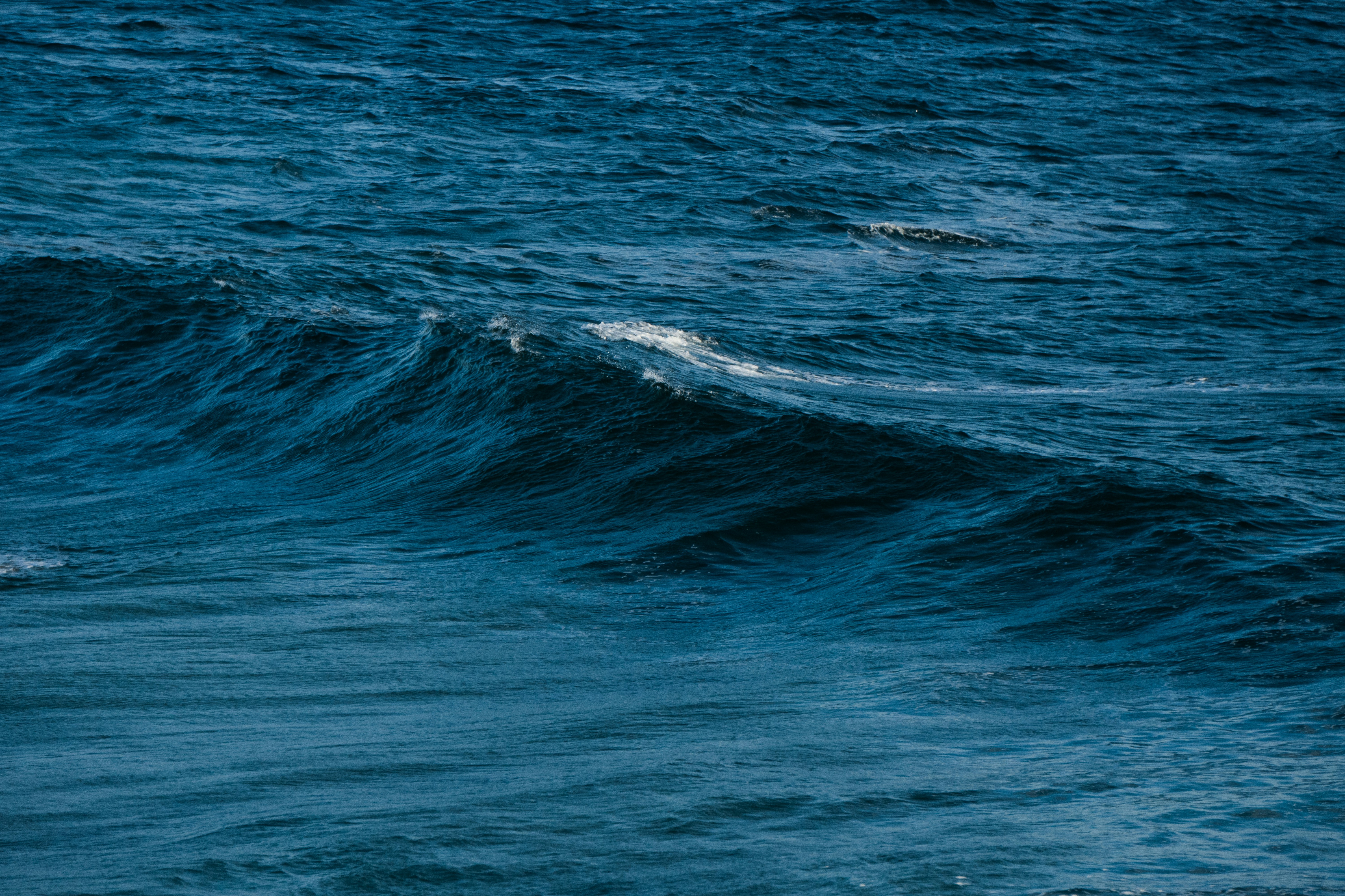 Photo by nanduvasudevan