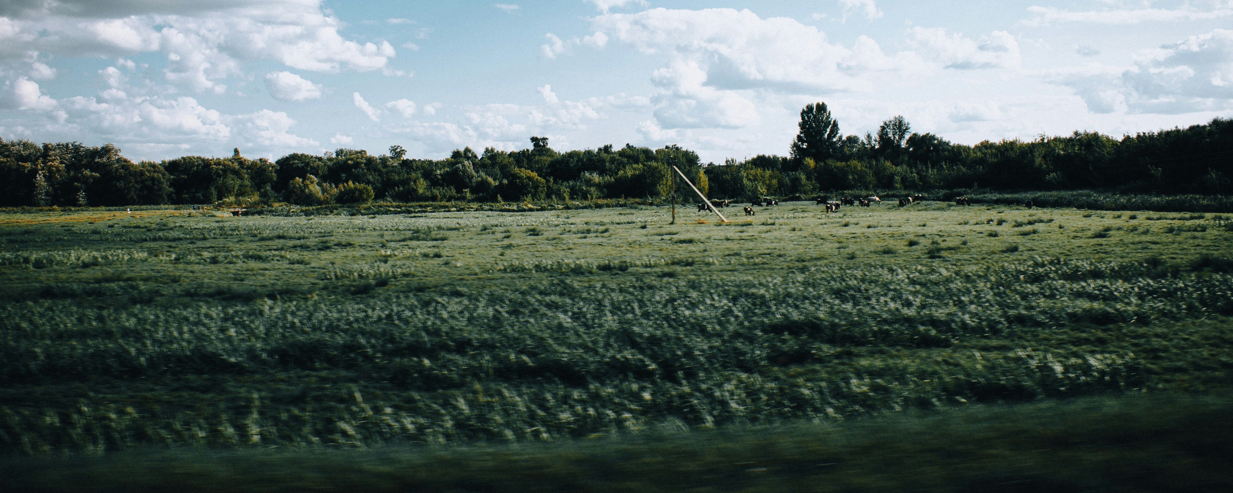 Photo by aleksey_parakhnevich