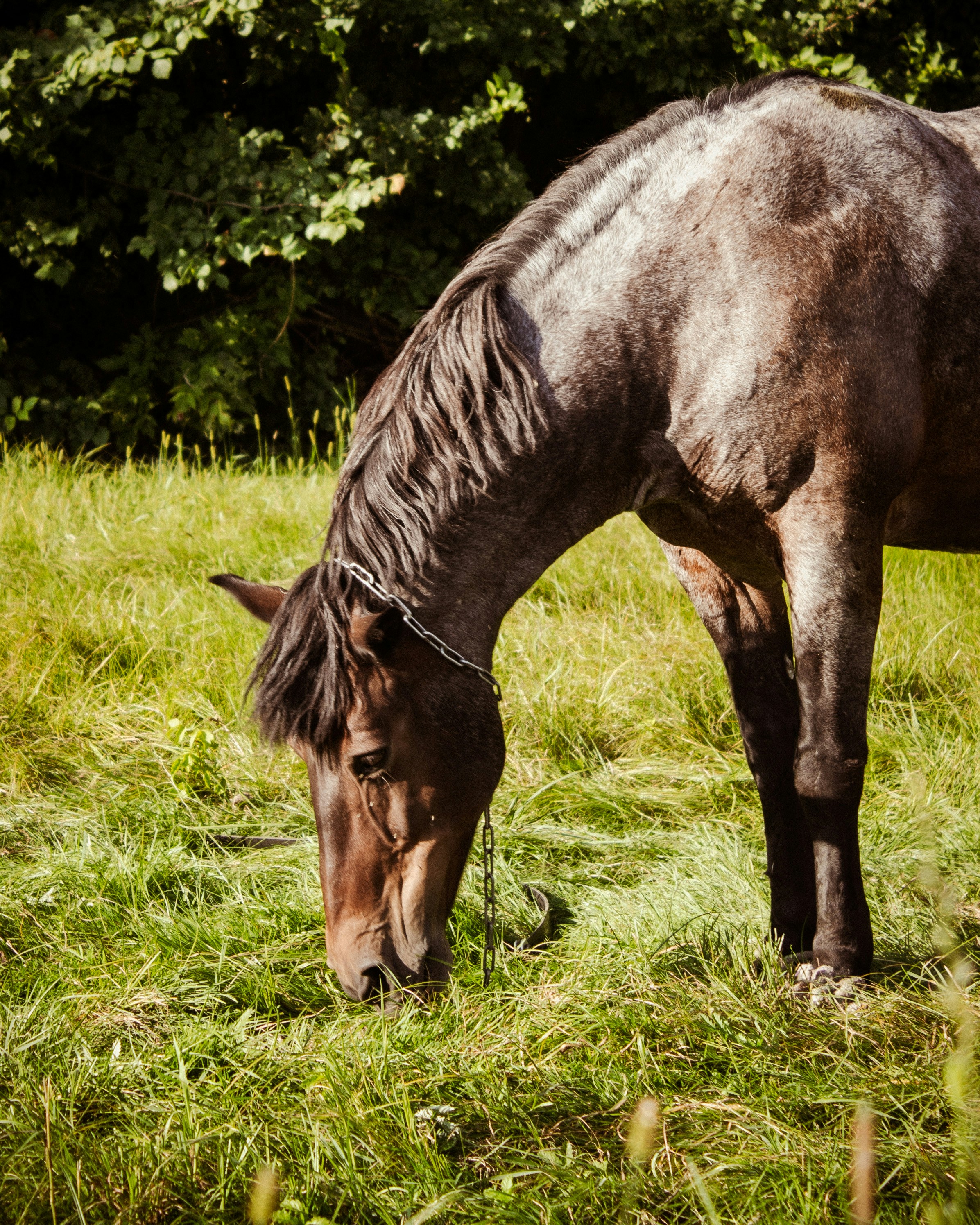 Photo by aleksey_parakhnevich