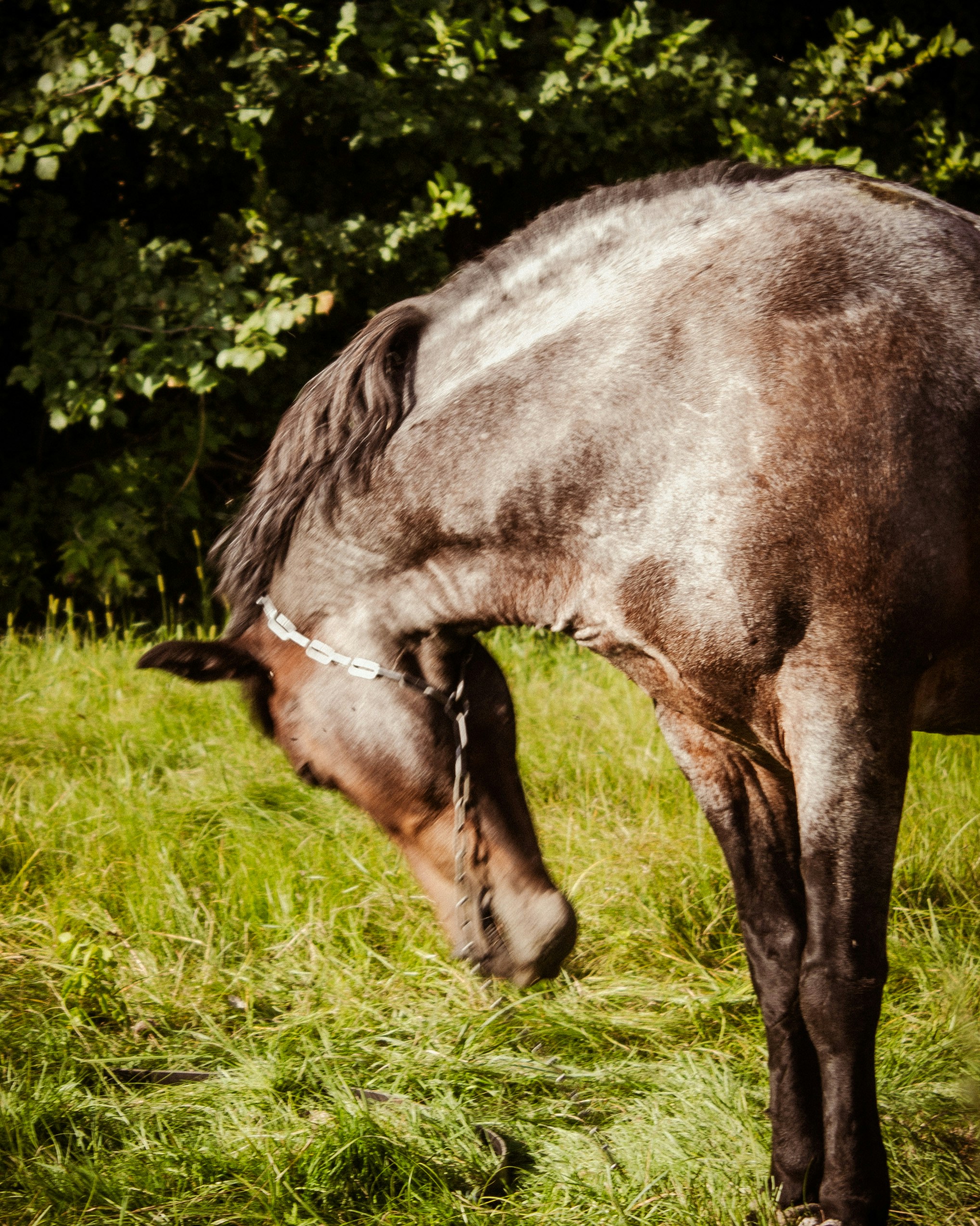 Photo by aleksey_parakhnevich