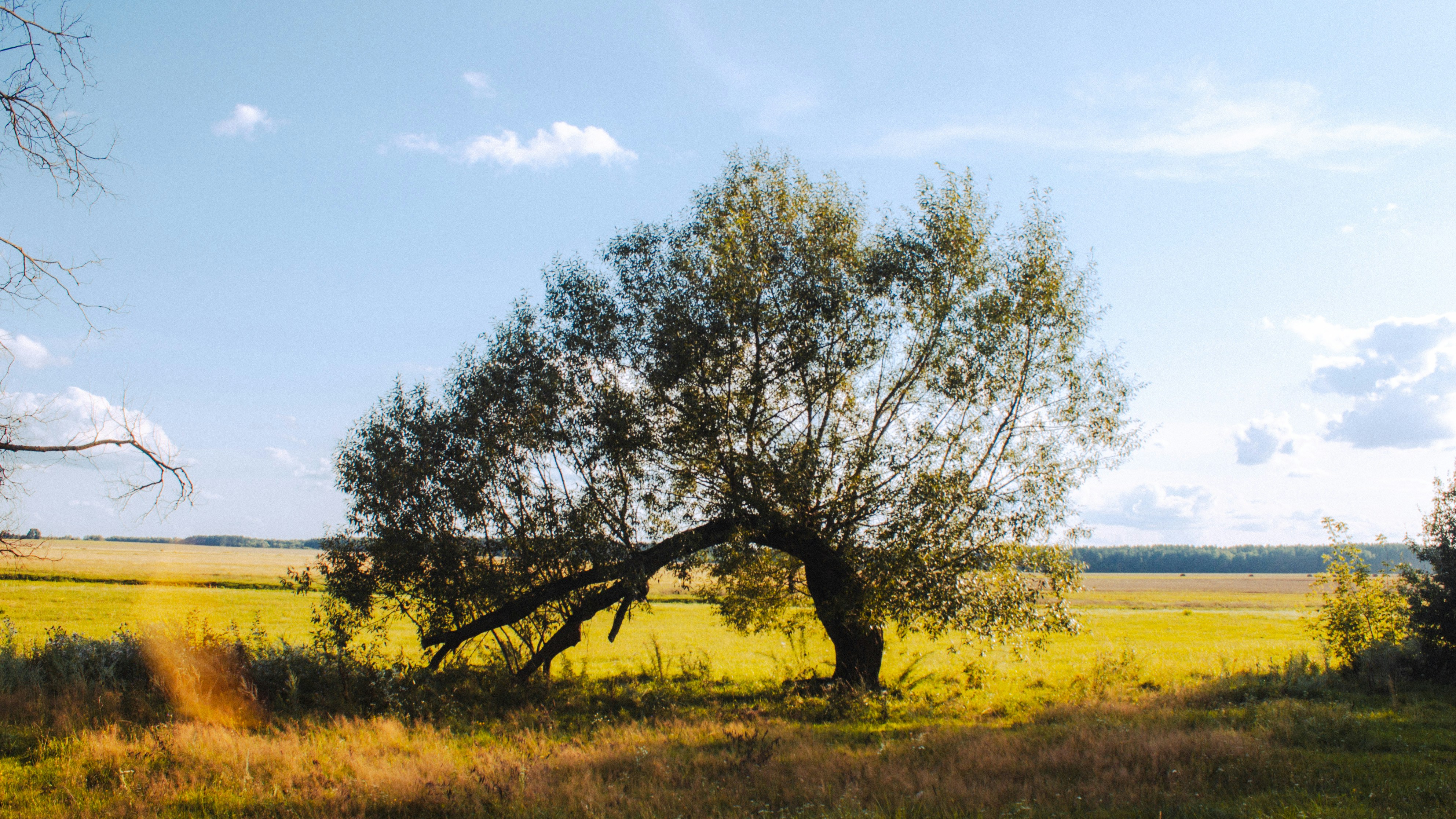 Photo by aleksey_parakhnevich