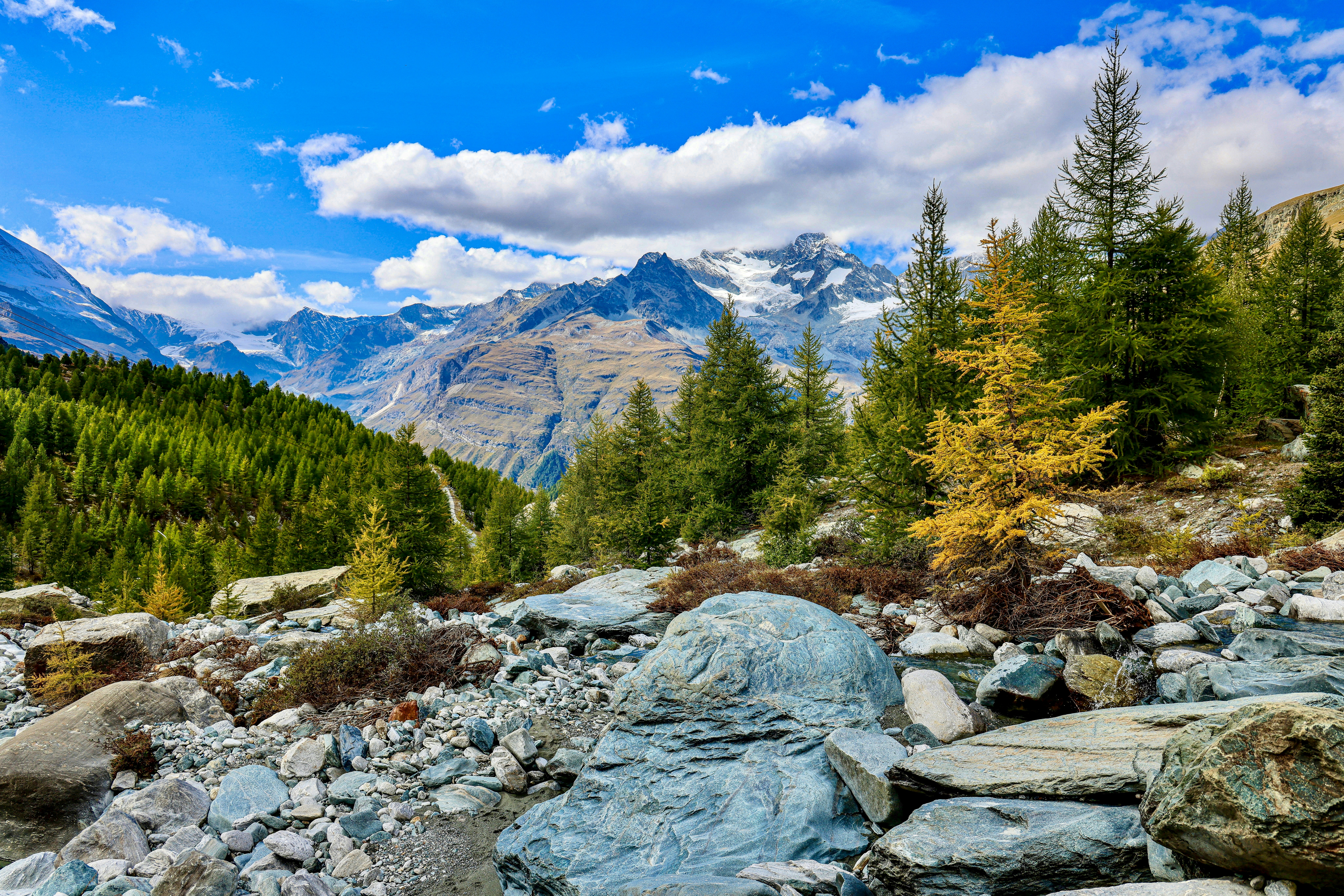 Photo by maximilian_brand