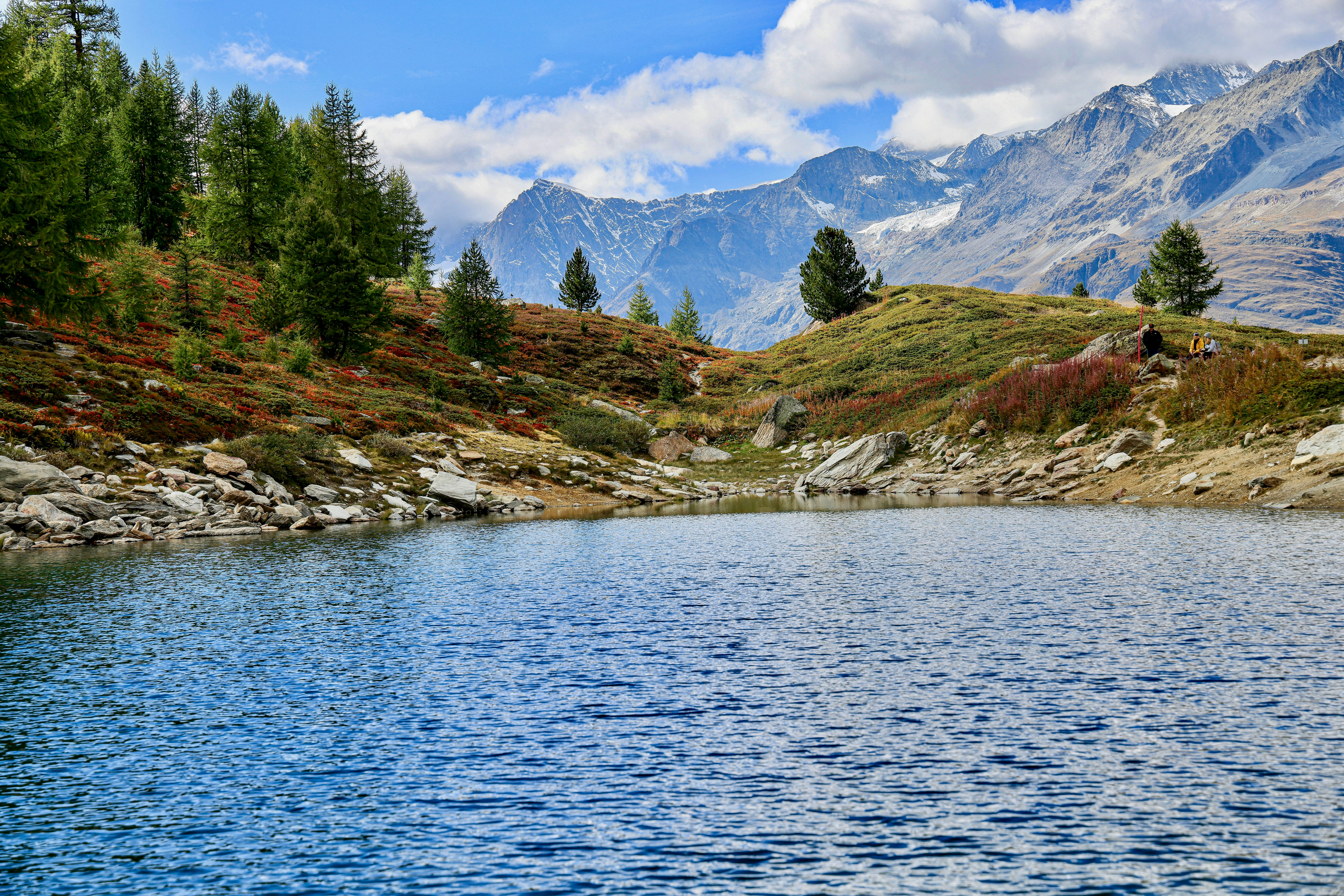 Photo by maximilian_brand