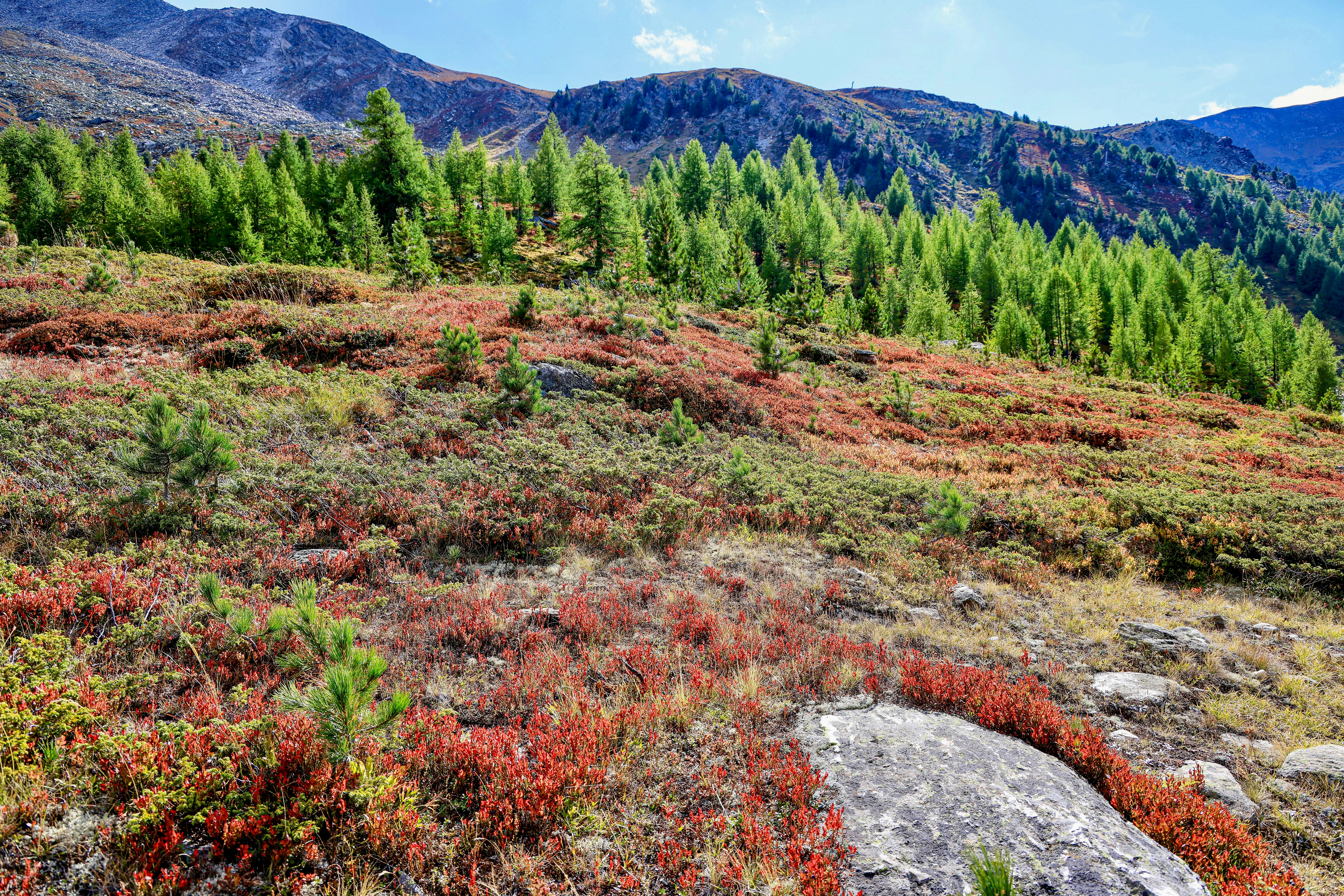 Photo by maximilian_brand