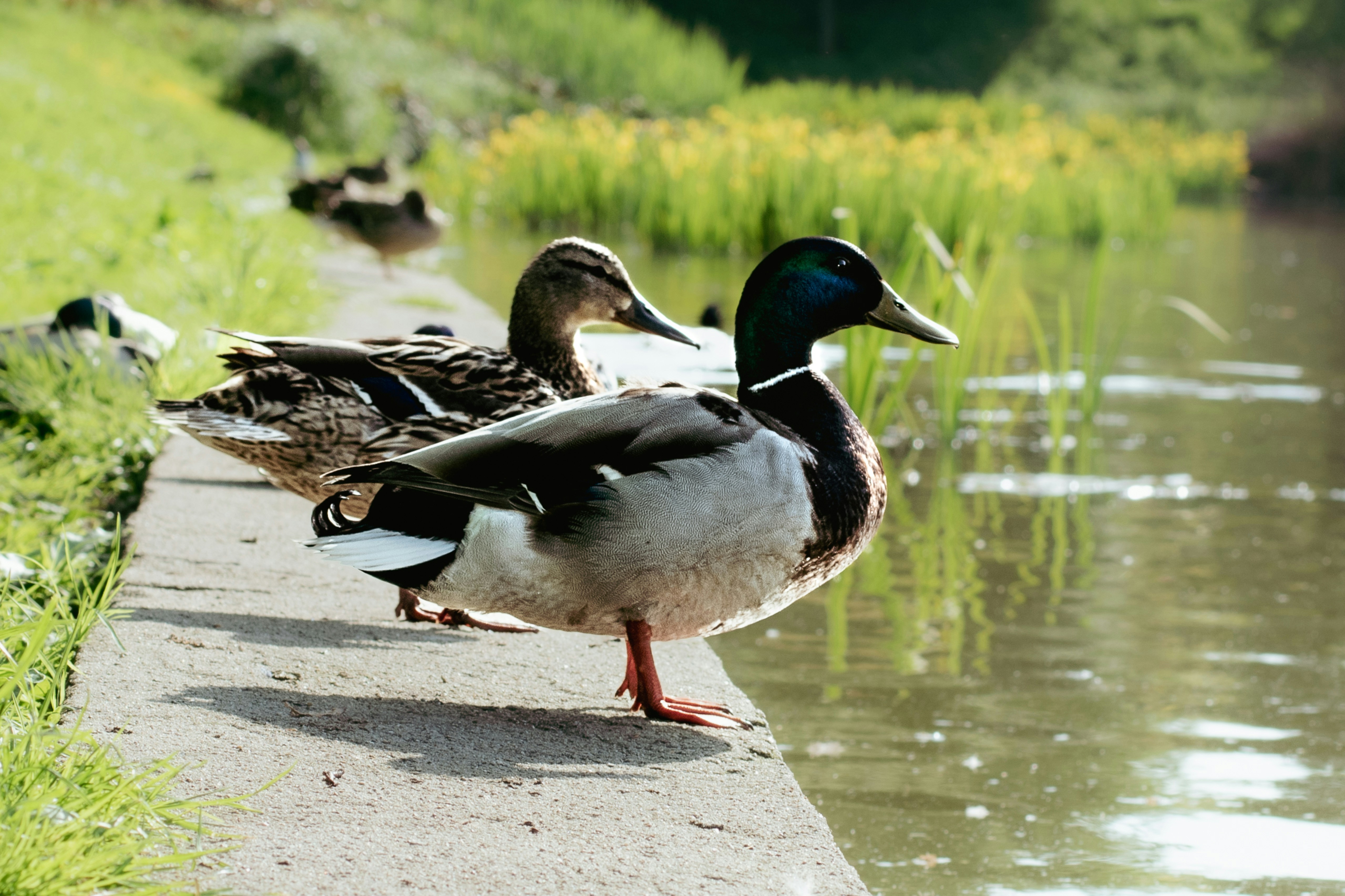 Photo by colorful_jelly