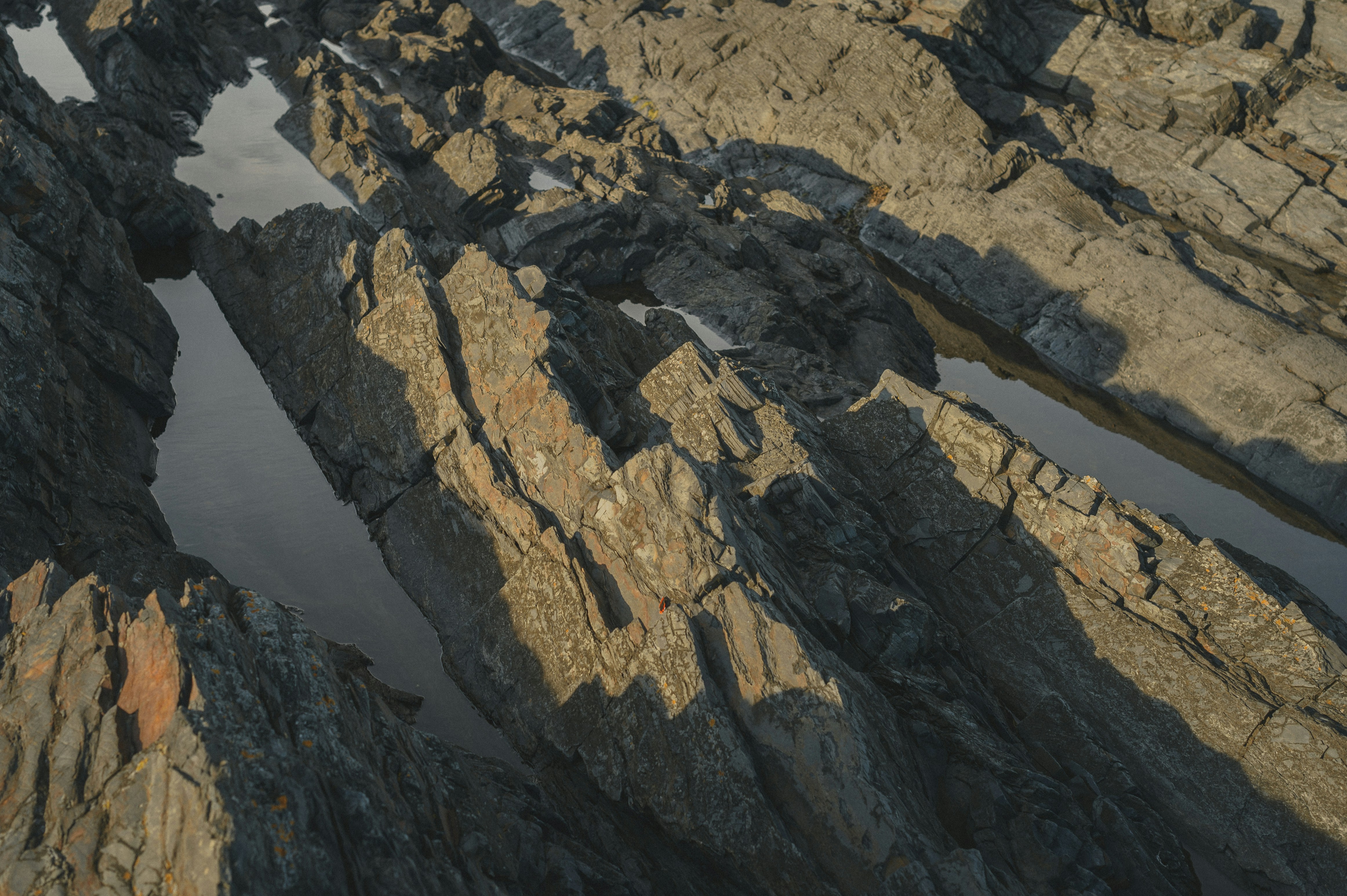 Photo by vonshnauzer