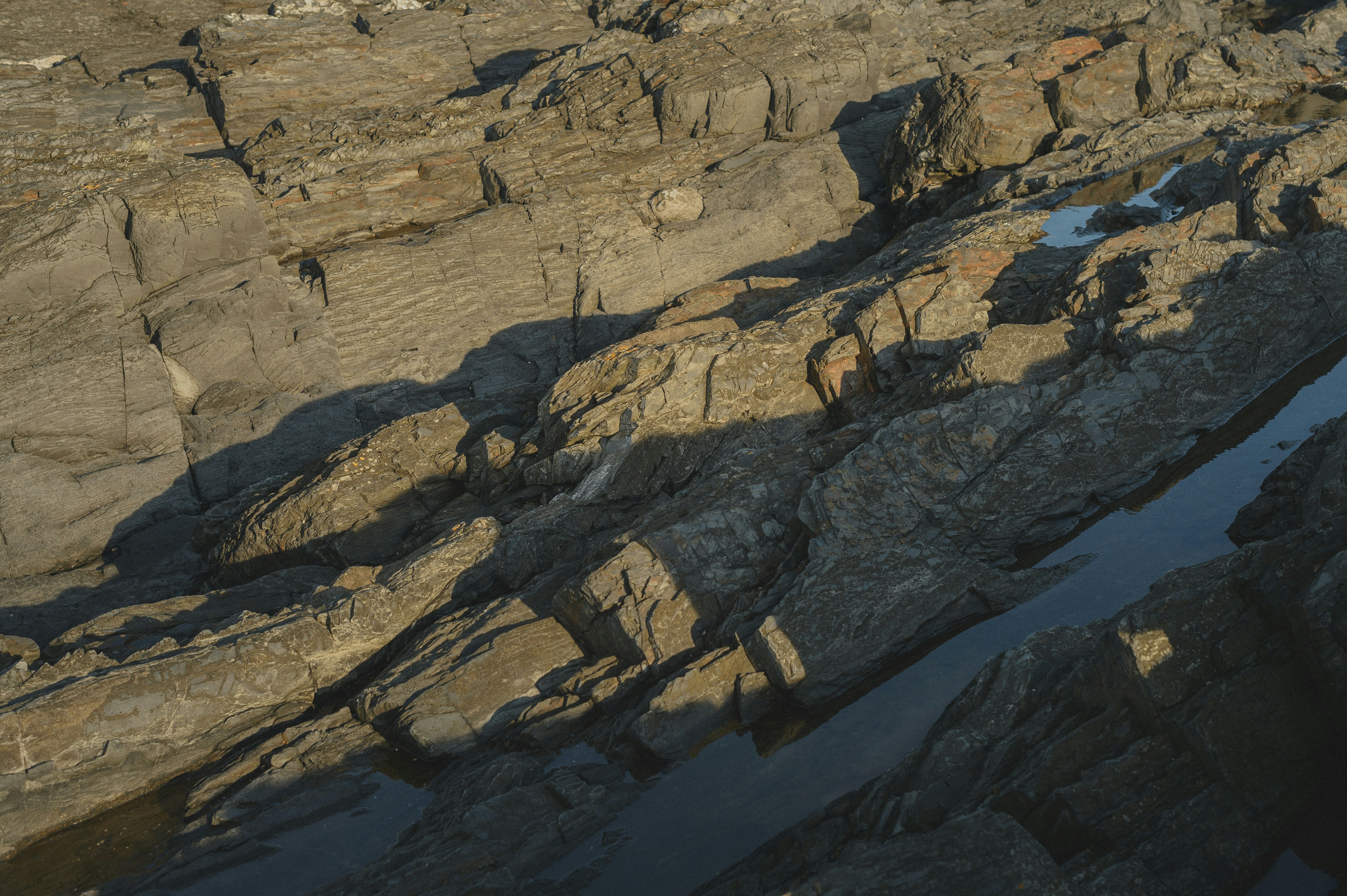 Photo by vonshnauzer