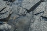An aerial view of rocks and water in a stream