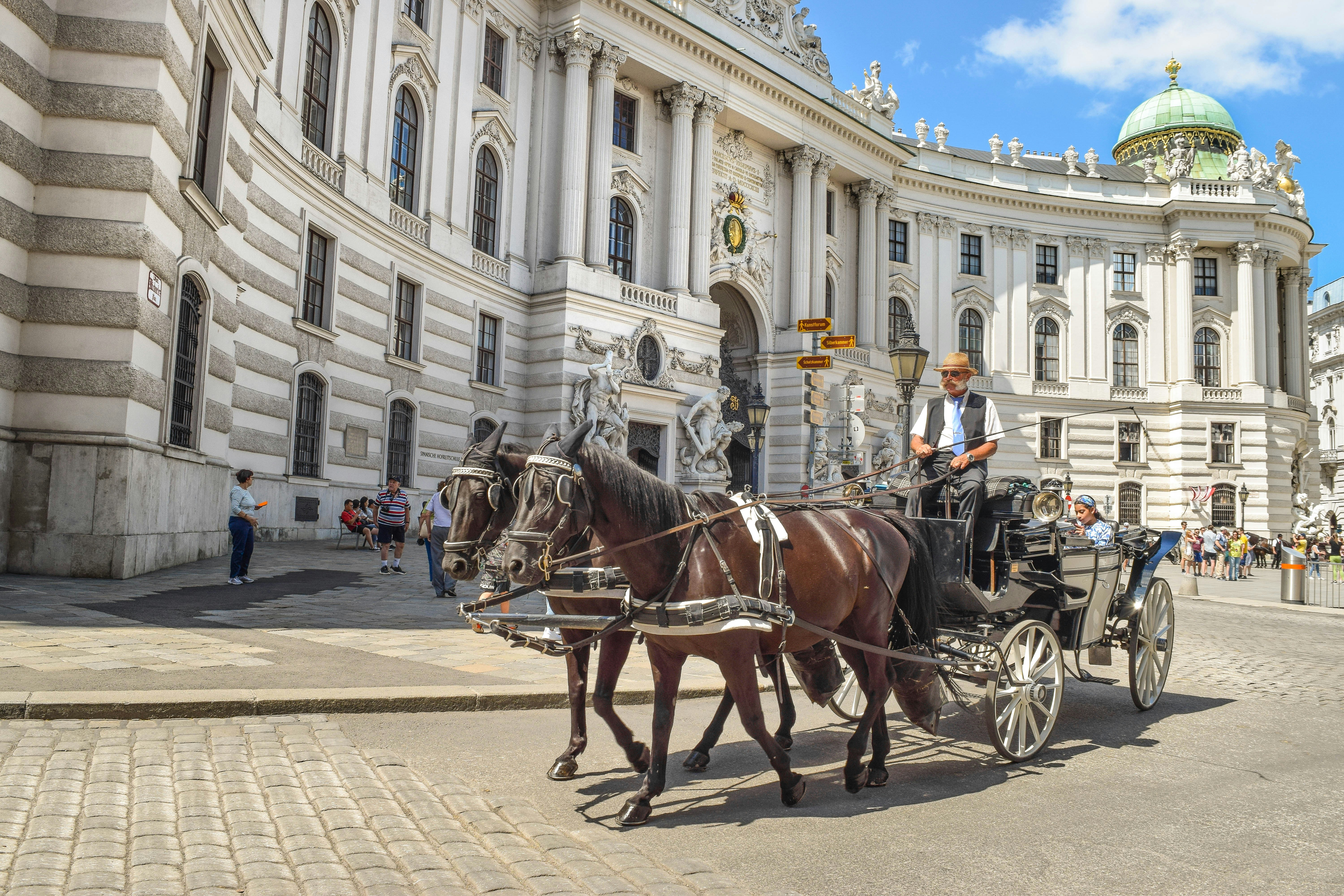 Elegant wedding venue with horse-drawn carriage
