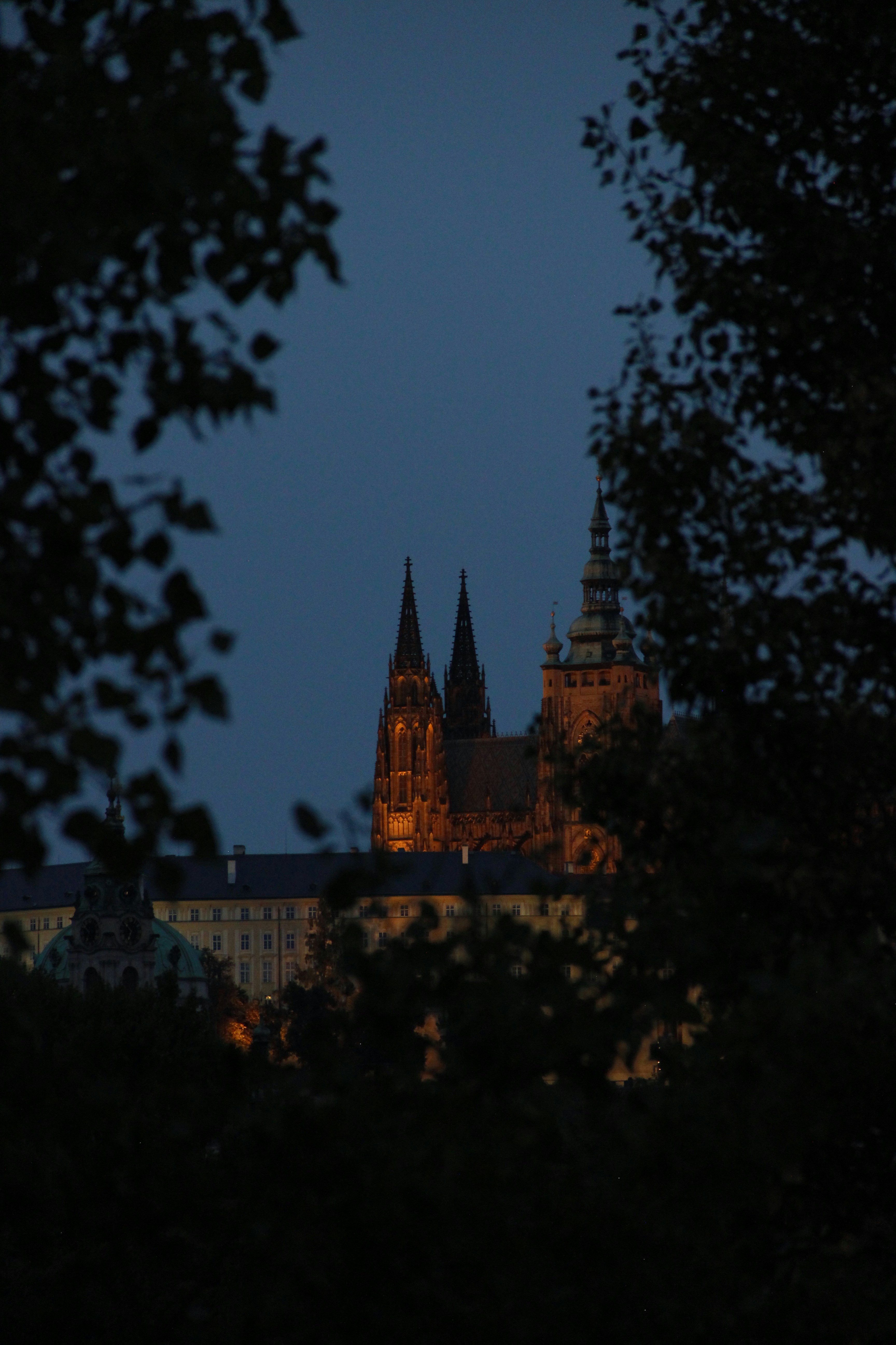 Photo by daniyarorazov