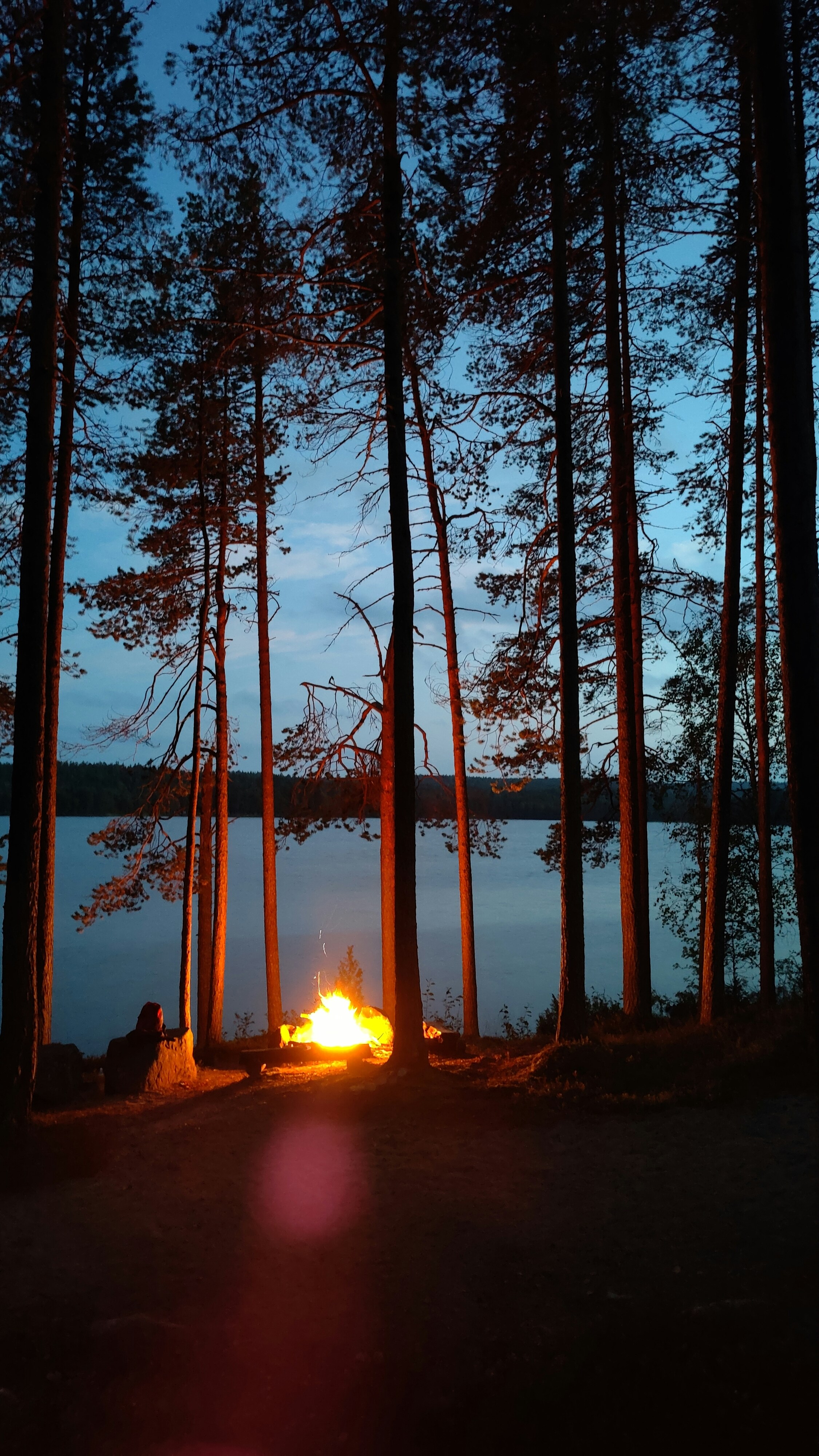 Tent campsite at dusk in Algonquin forest, warm campfire glow, misty pines, peaceful atmosphere