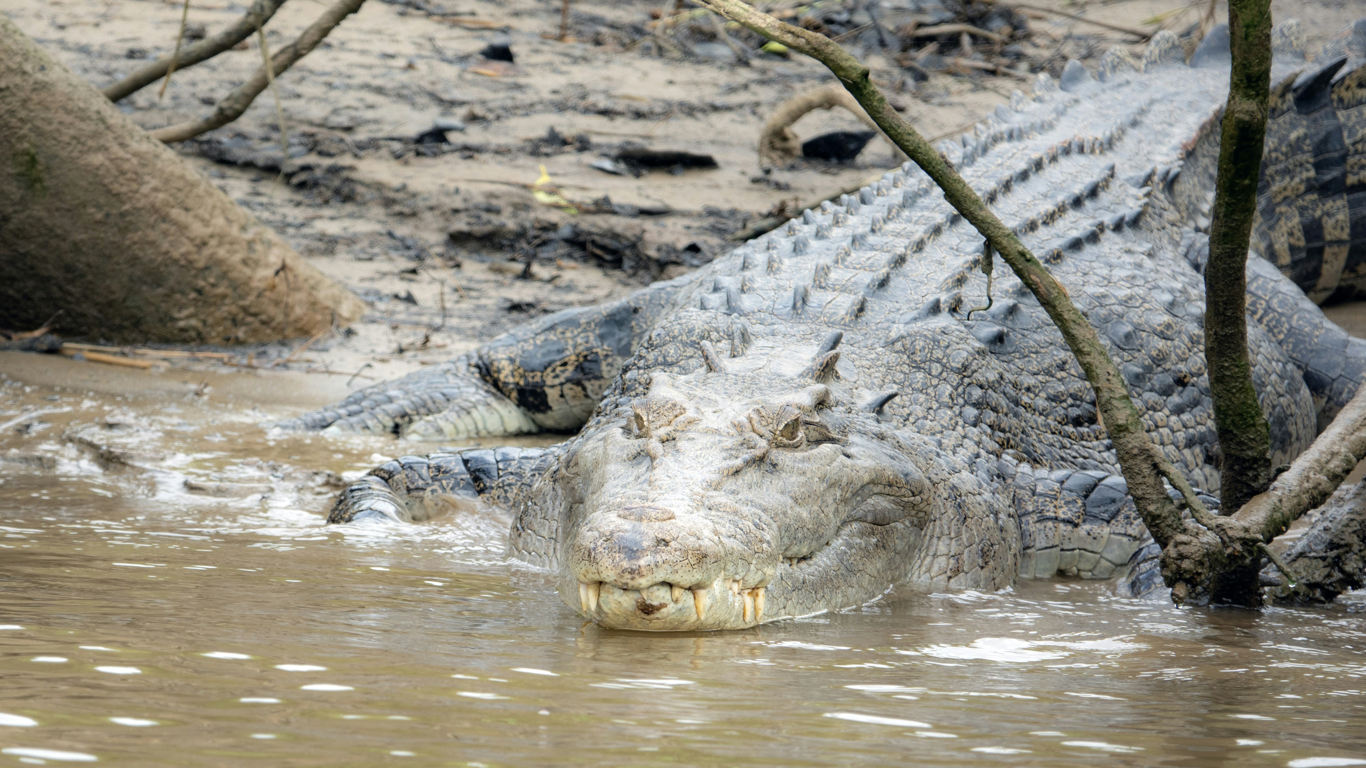 Photo by joseph90rcg