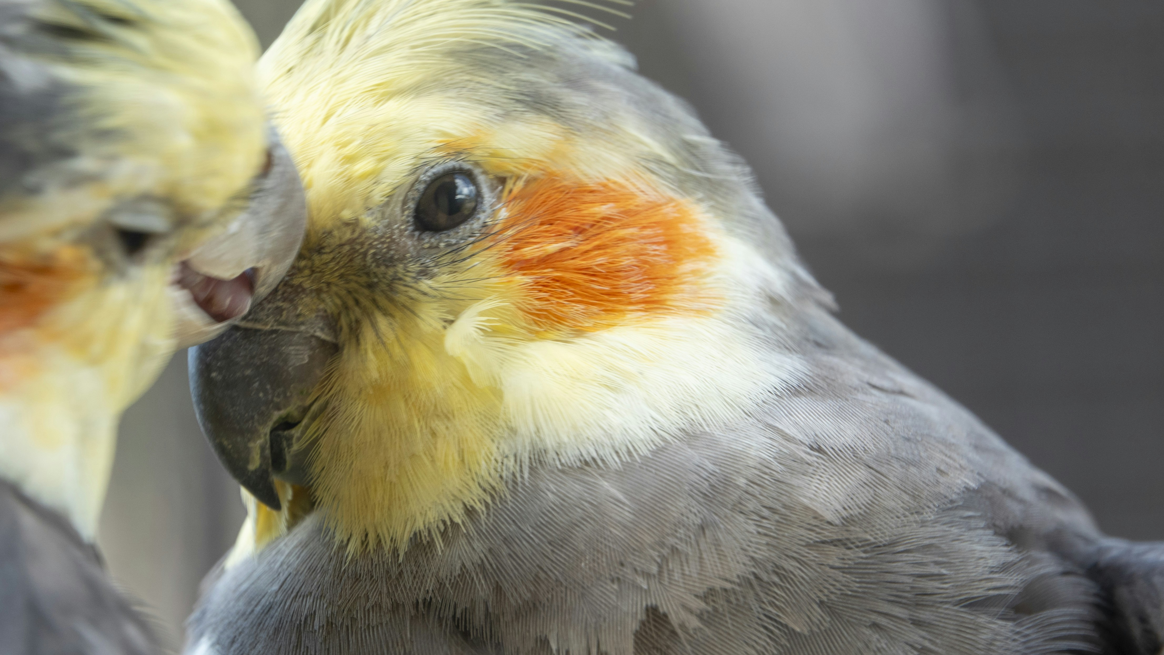 Photo by joseph90rcg