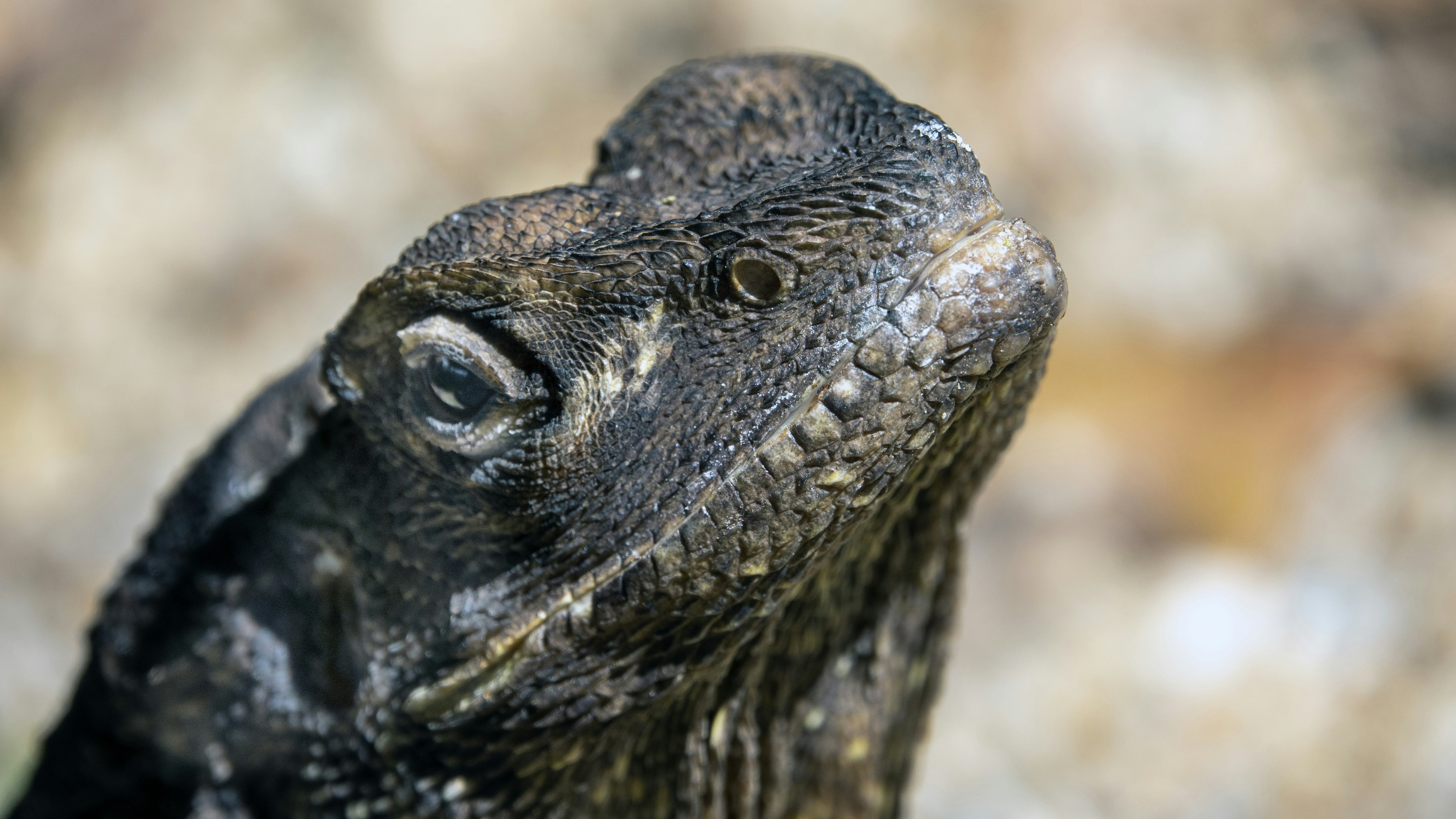 Photo by joseph90rcg