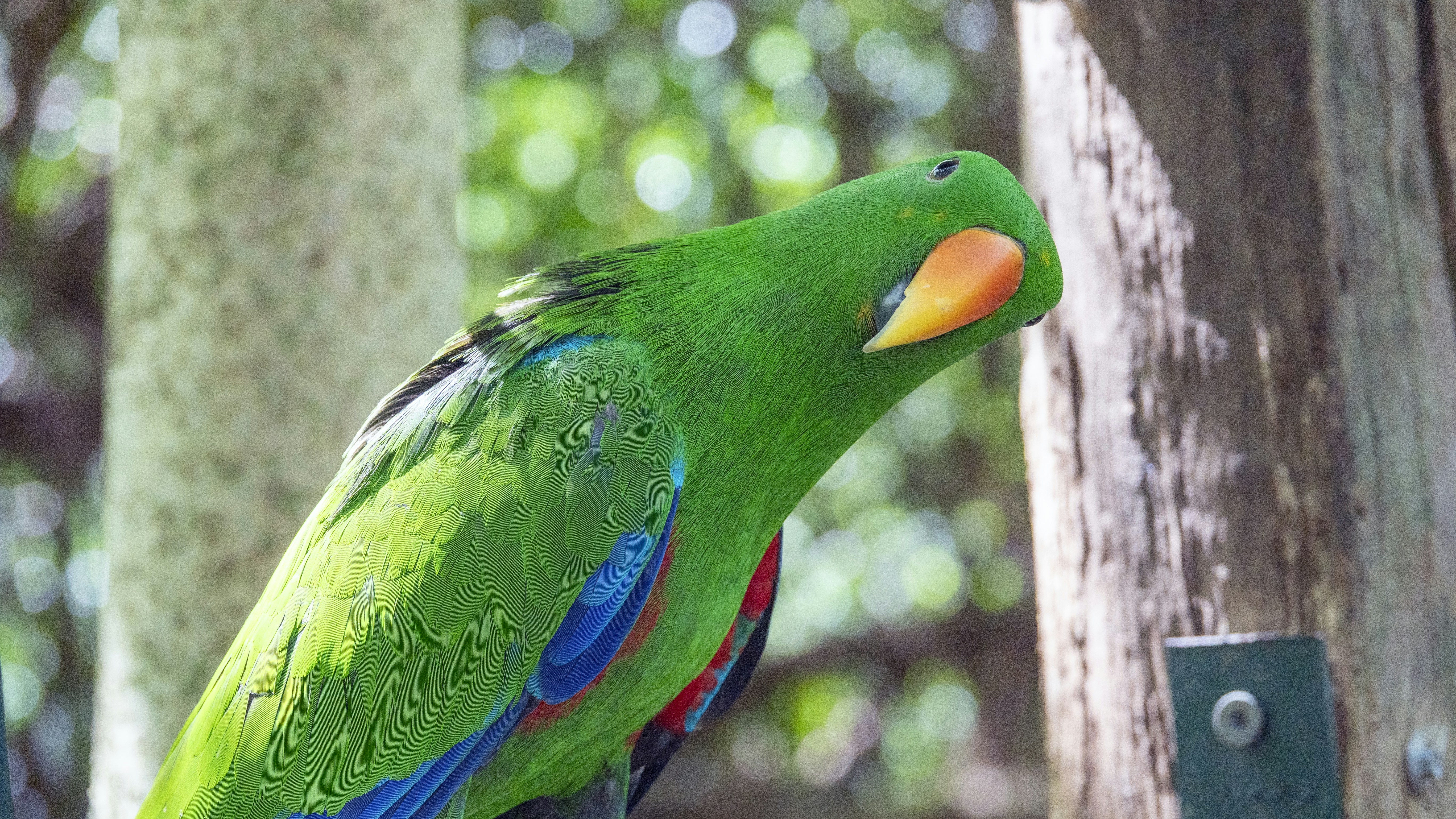 Photo by joseph90rcg