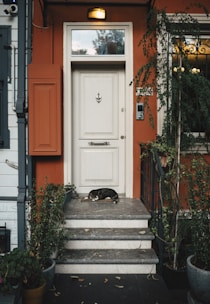 A dog laying on the steps of a house