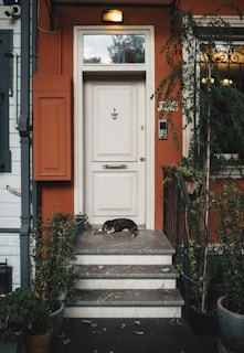 A dog laying on the steps of a house