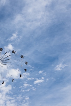 A dandelion blowing in the wind on a cloudy day