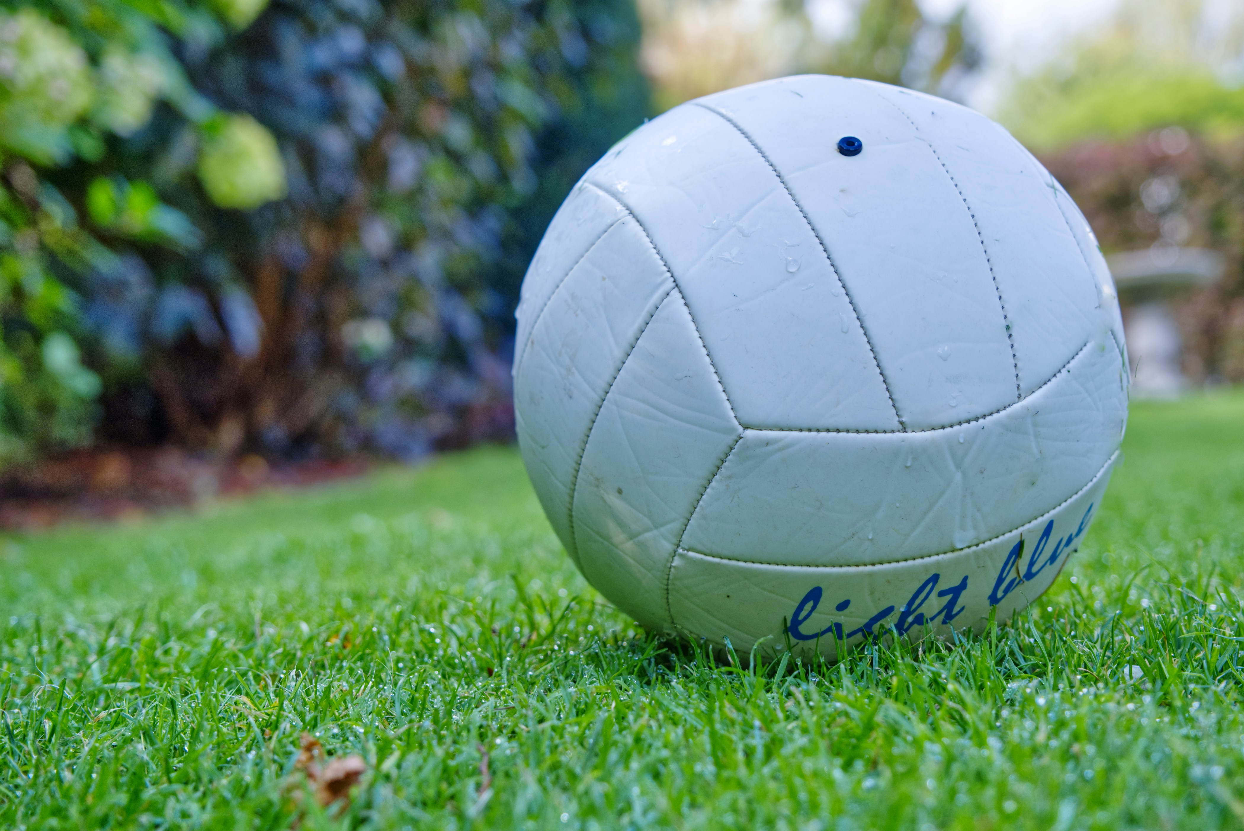 1000+ Kicker Pictures | Download Free Images on Unsplash