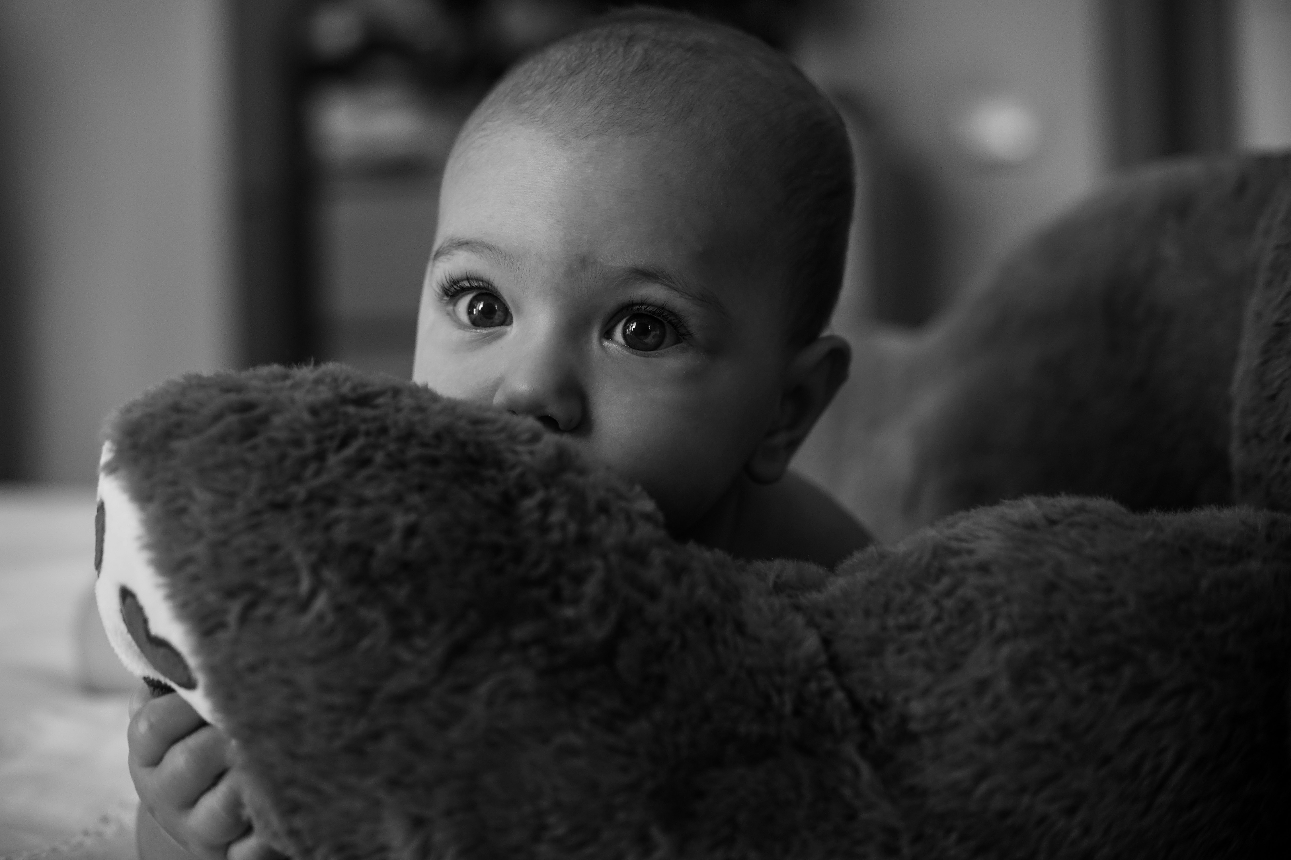 Photo by lucidistortephoto