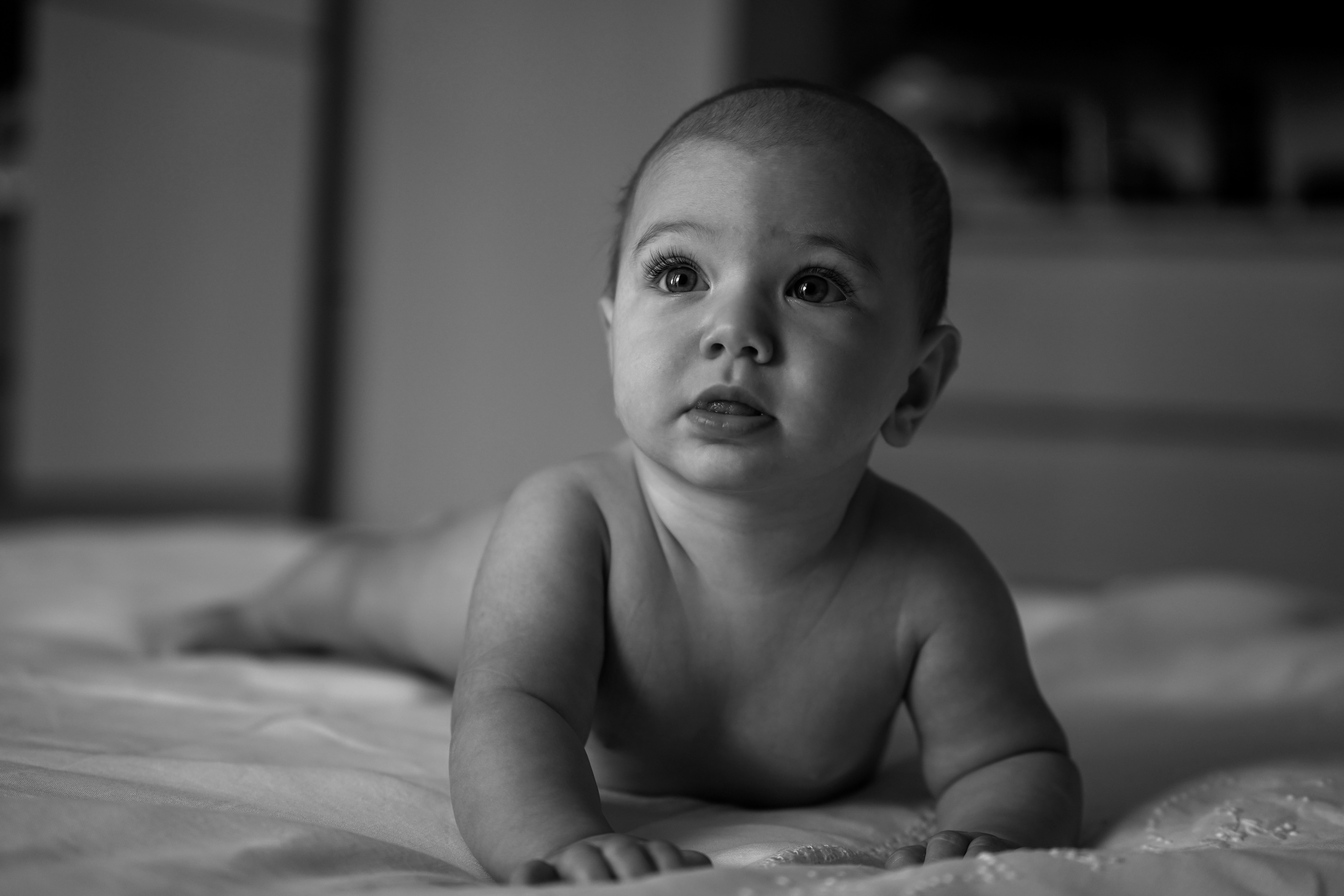 Photo by lucidistortephoto