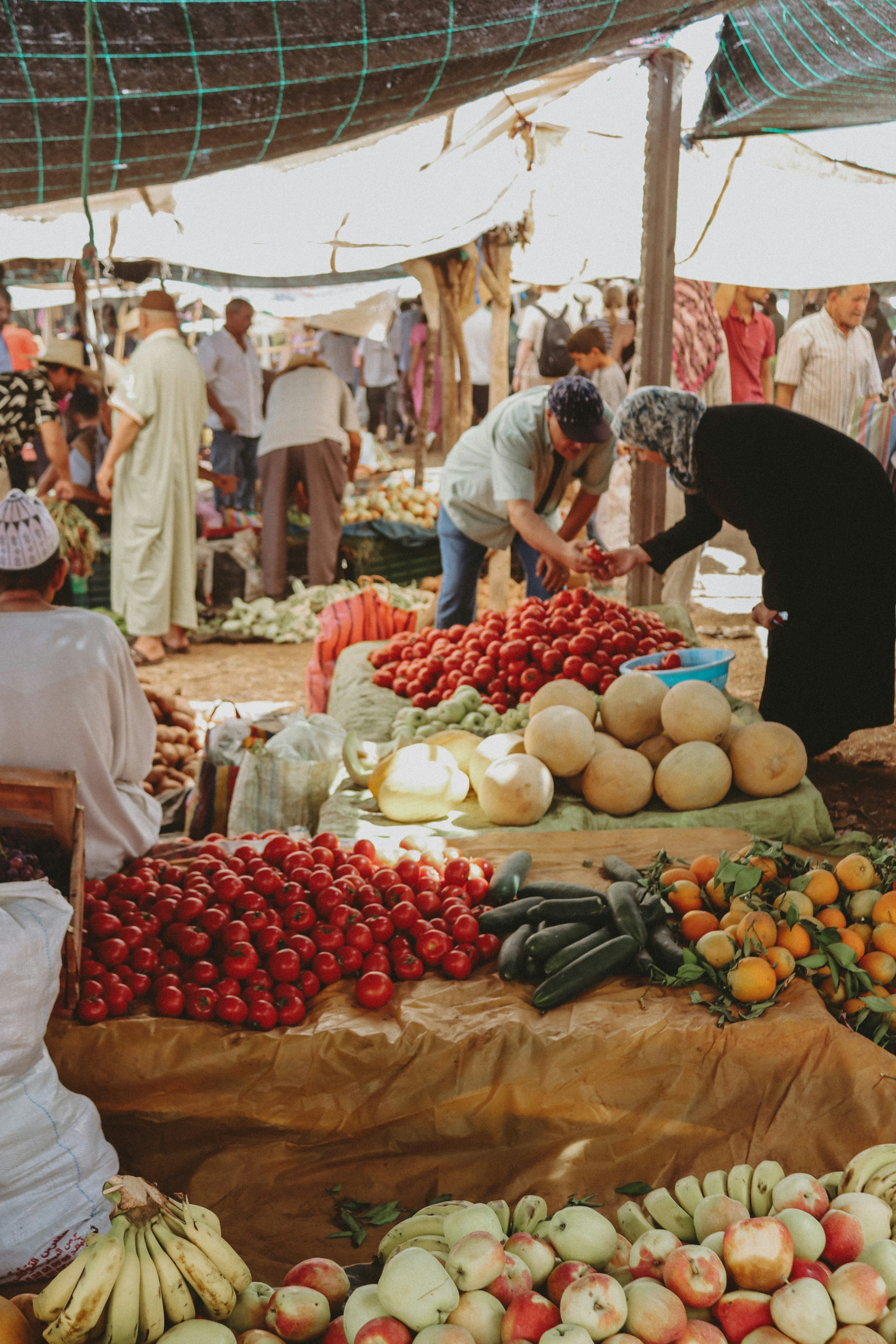 Urban Farming: Bridging the Gap Between Moroccan Culture and Modern Sustainability